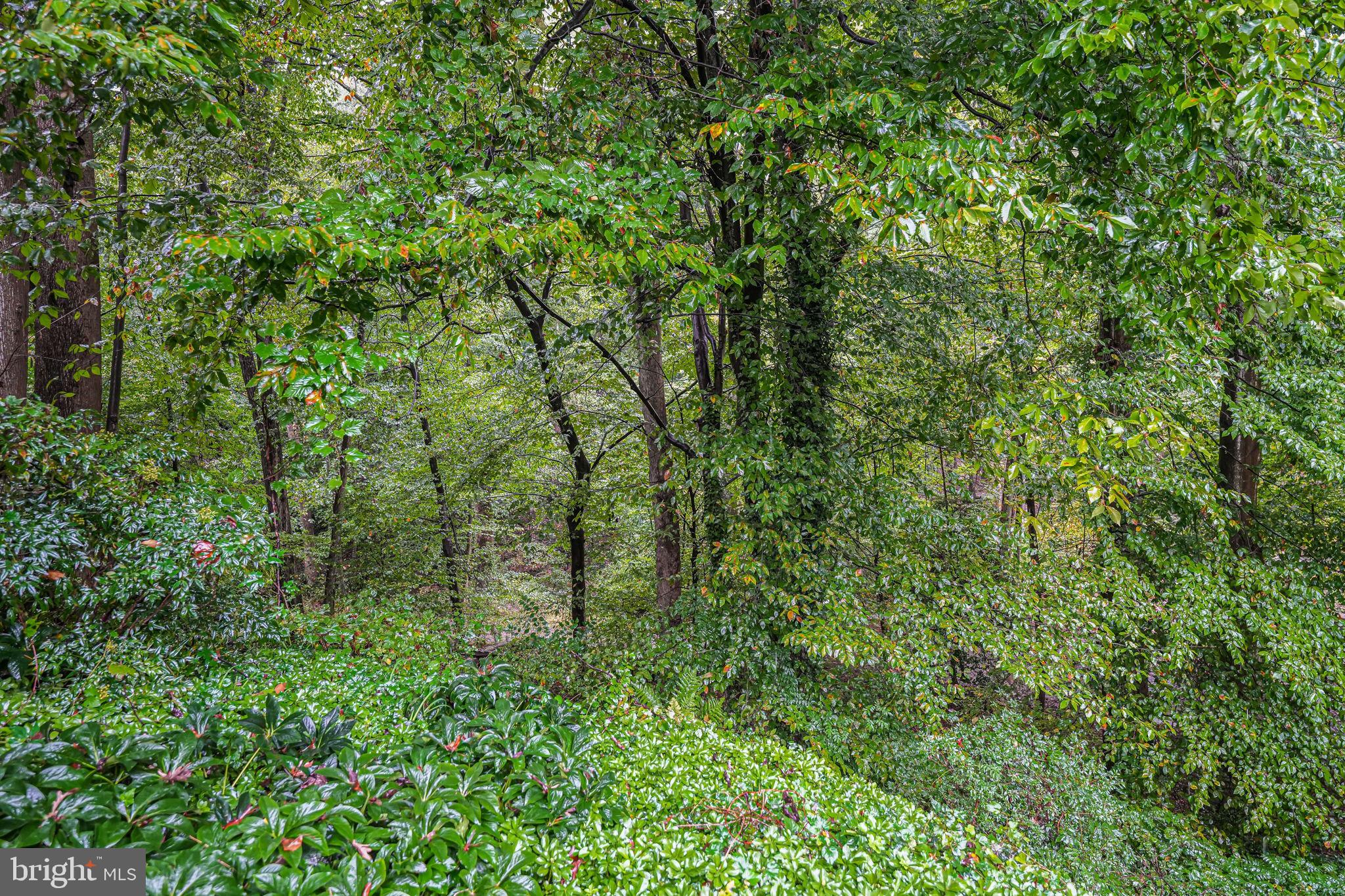 BROYHILL FOREST - Residential