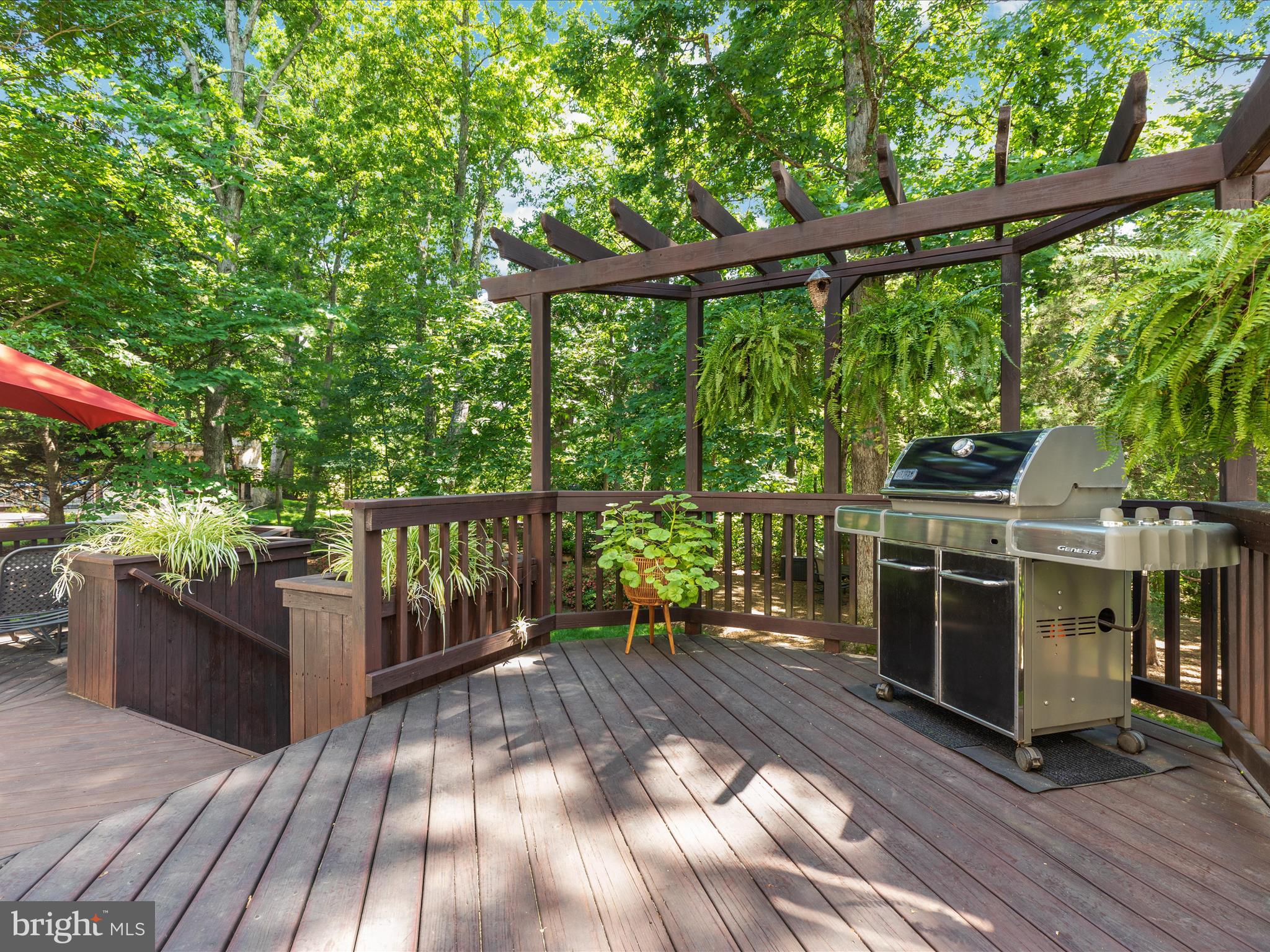 BRAEMAR - Residential