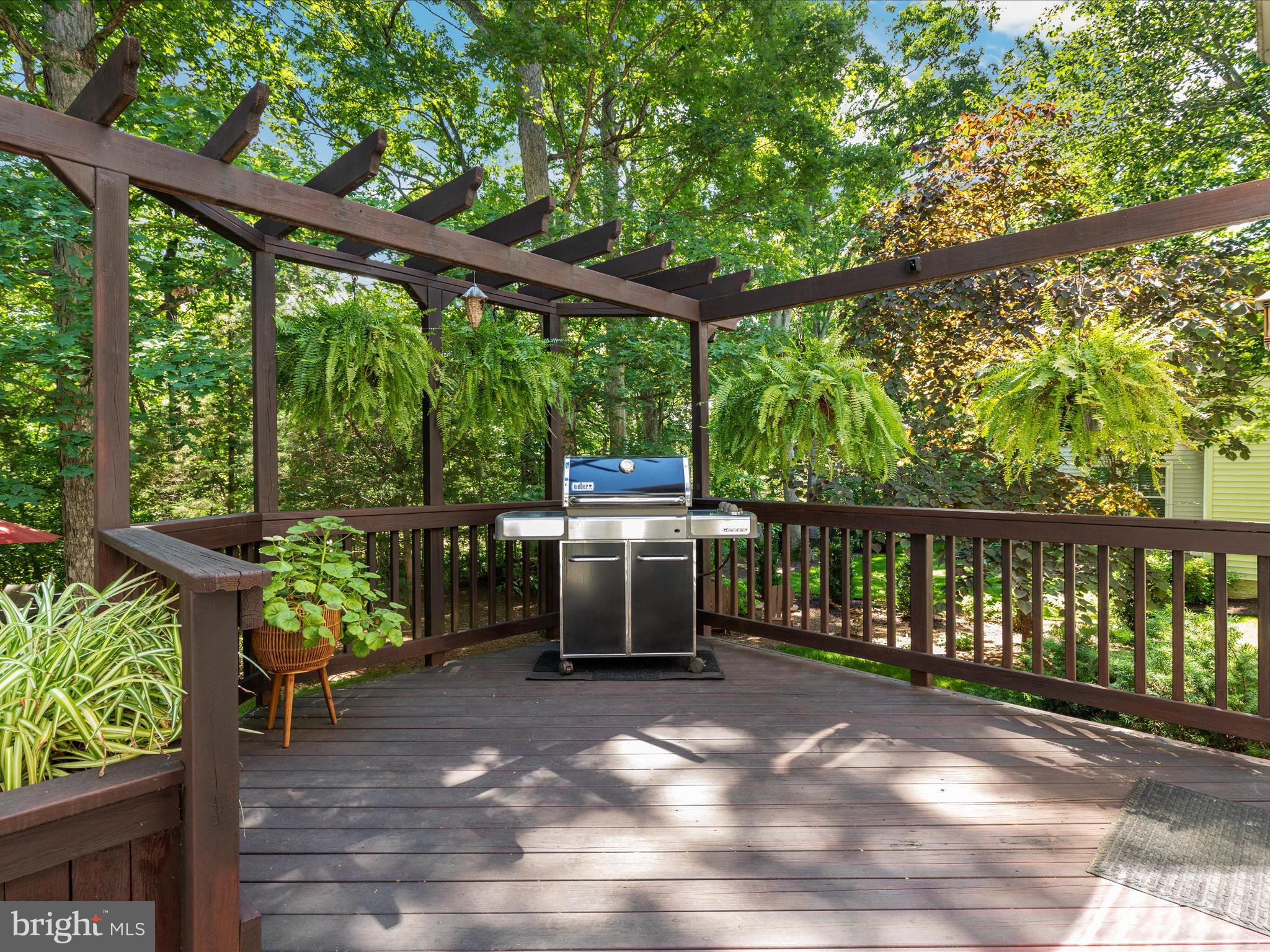 BRAEMAR - Residential