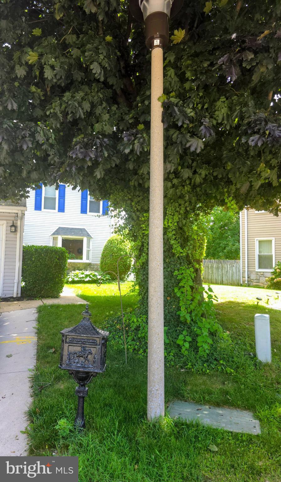 1036 HAZELWOOD DRIVE