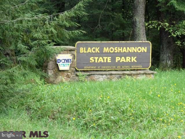 FOR COMPARABLE PURPOSE ONLY.....Private home building site in a secluded development within view of Black Moshannon State Park. This area is on a paved township road. Very wooded and protected from public, from park and from view, but very accessible to the activities of a state park, lake and beach. Electric to property lines, perc test completed, covenants available upon request.