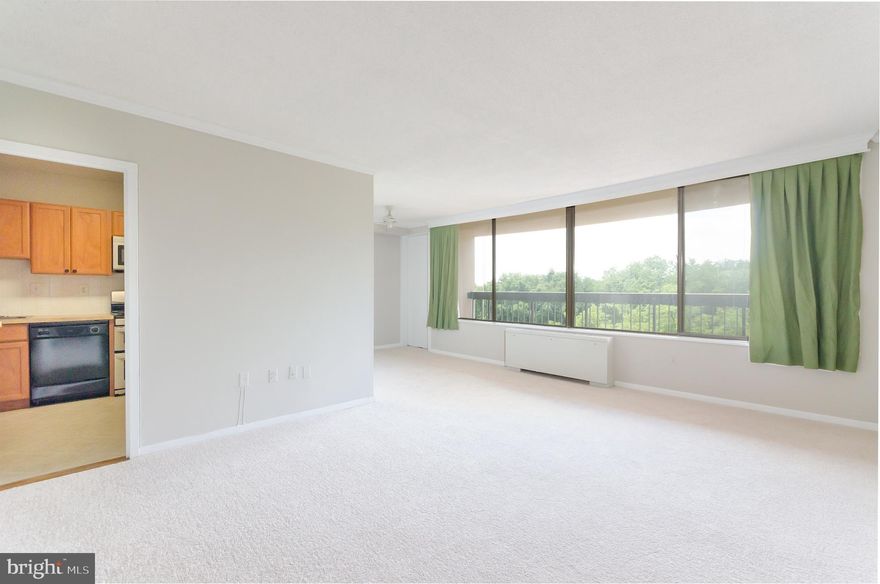 Bright and sunny studio condo in convenient Skyline Plaza! Featuring an open, spacious living area that can be converted to meet your needs, updated kitchen with full size, stacked washer & dryer, private dressing area & bathroom, and ample closet space. Boasting new carpet and fresh paint throughout, this unit is move-in ready! Enjoy outdoor living on the oversized balcony overlooking trees. Located at the crossroads of Arlington and Alexandria with easy access to metro, DC, and other major roadways, Skyline Plaza is a commuter's dream! Amenities abound -- 24 hour concierge, billiard room, two fitness centers, sauna, outdoor pool with expansive deck area, party room, media room, rooftop terrace, and one indoor assigned parking space. All utilities are included in the condo fee.