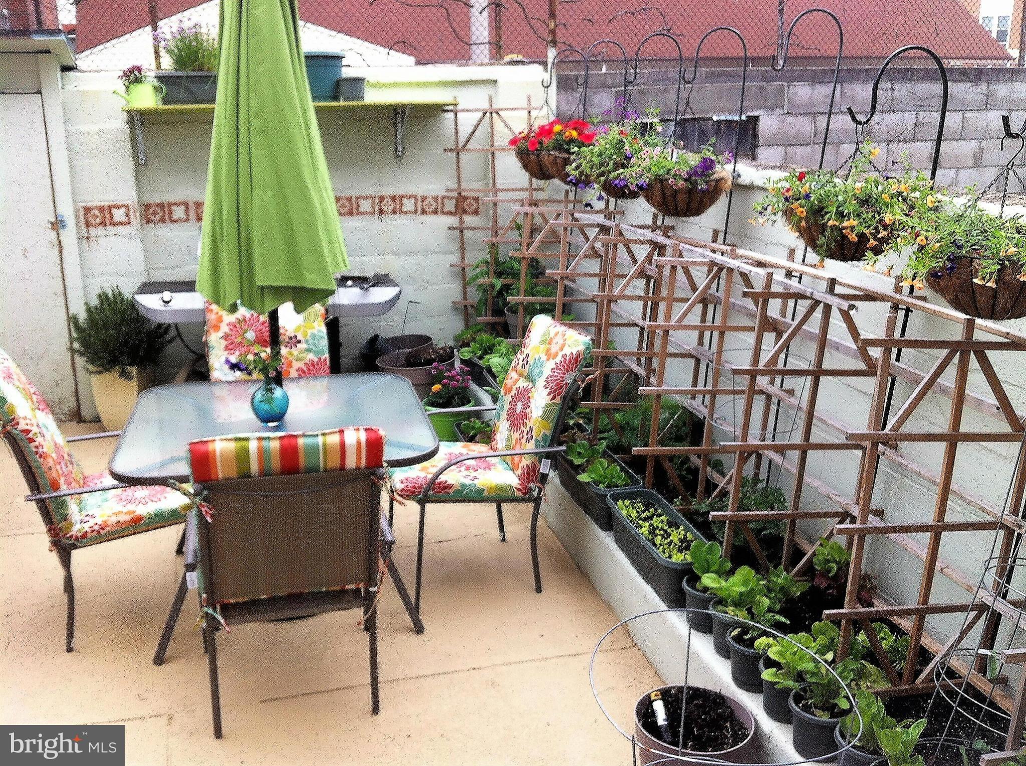 LITTLE ITALY - Residential Lease