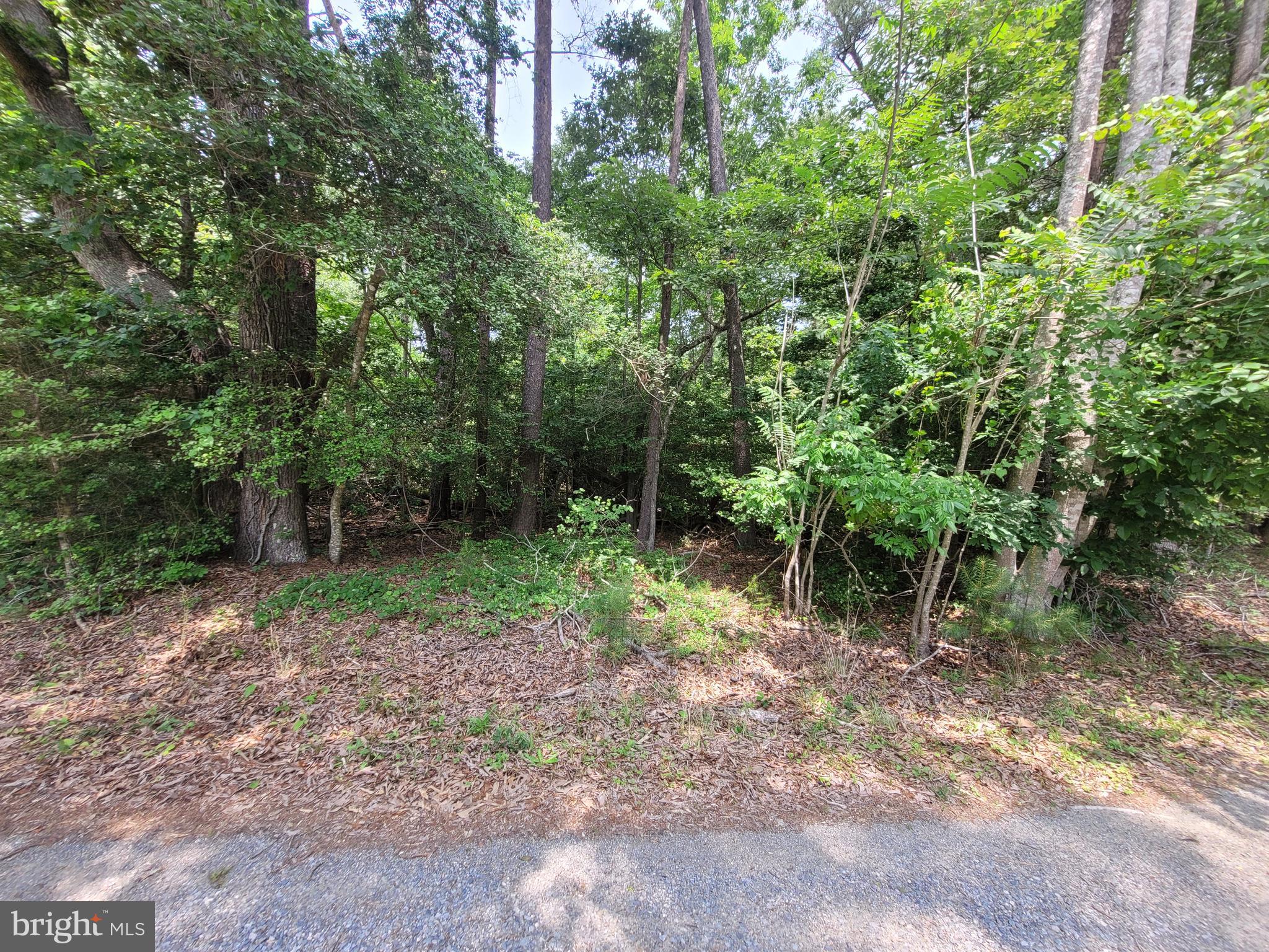 Lot 218 EVERGREEN DRIVE