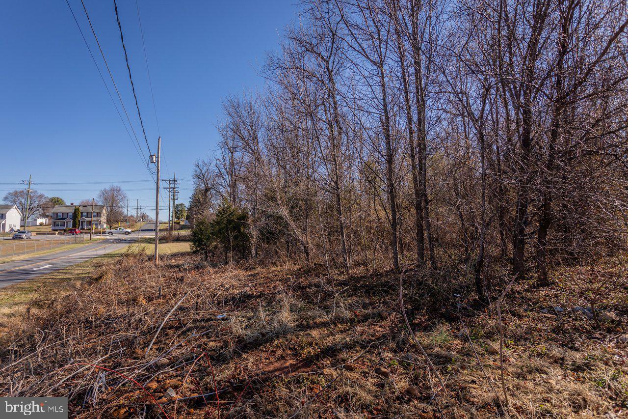 TOWN OF LURAY - Land