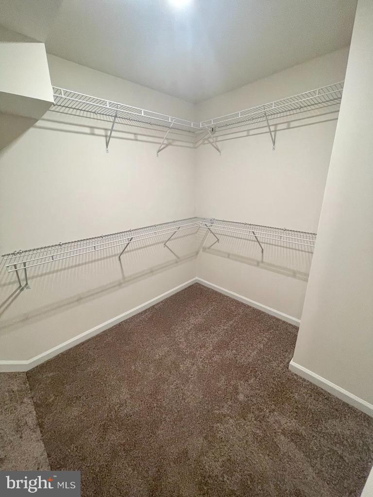 BALLARD GREEN - Residential Lease