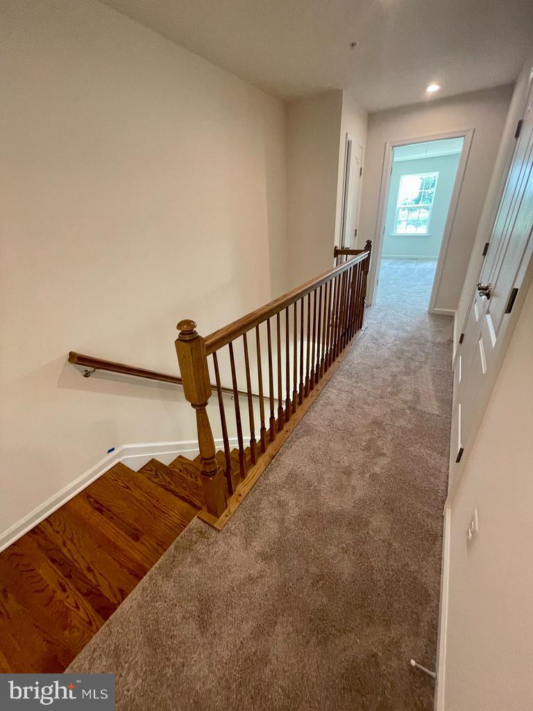 BALLARD GREEN - Residential Lease