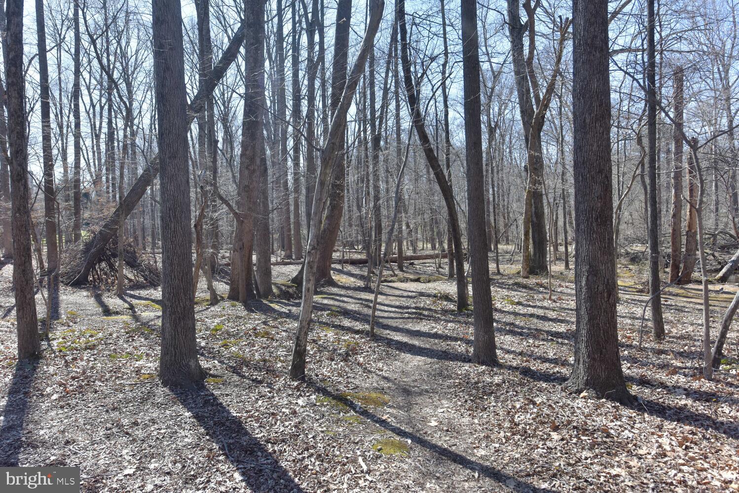 HERNDON CHASE - Residential