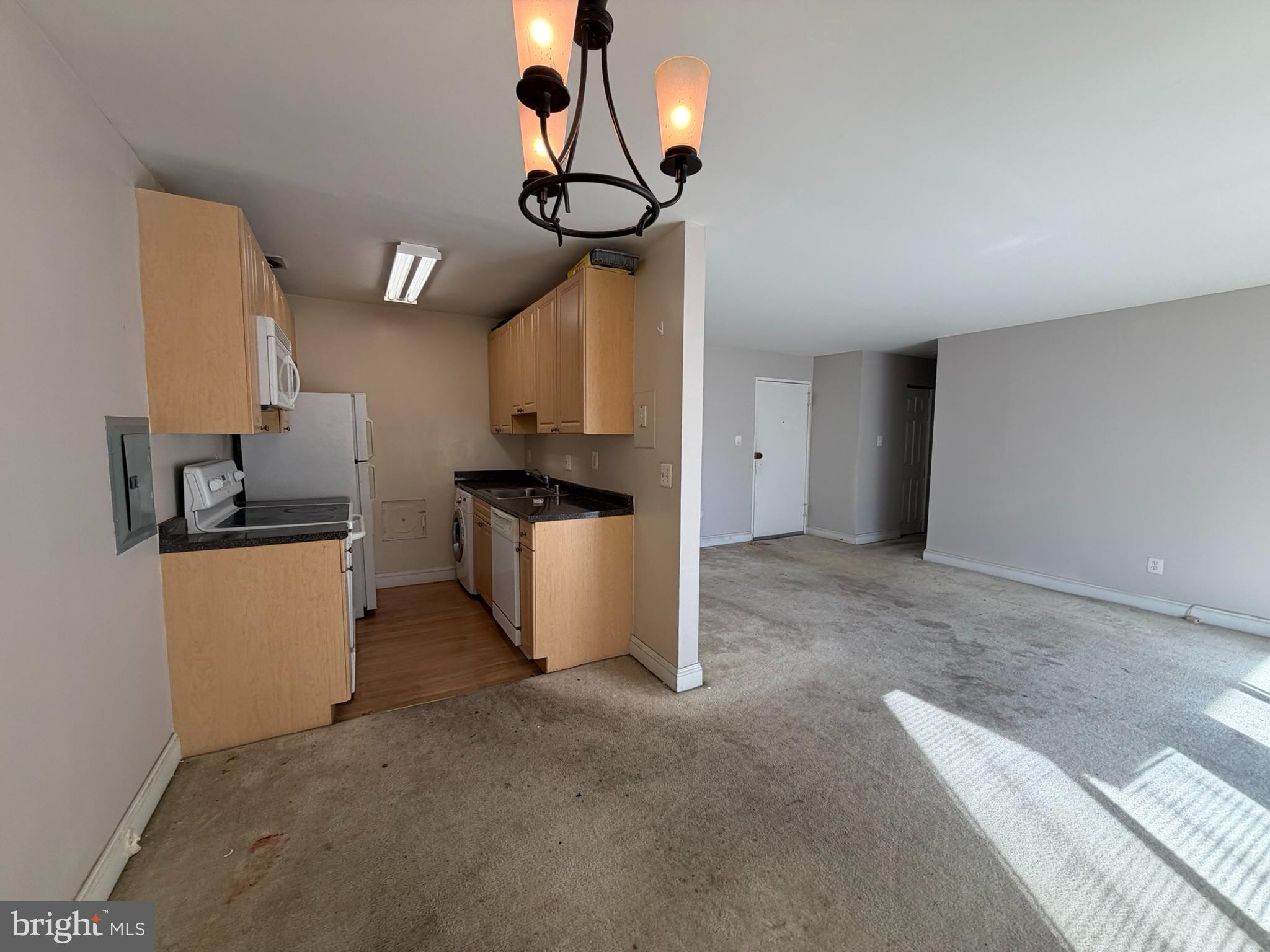 THE FAIRMONT 1009 CONDO - Residential