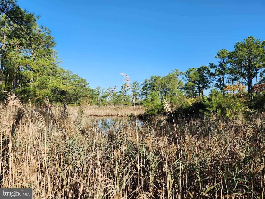 Do you want sika deer property? This 2 acre parcel is one of those small ones that has the potential to provide big results. Located down in Wingate on Toddville Road, you'll find this property is in the heart of prime sika deer hunting along with waterfowl opportunities in the two ponds you'll find on this property. This piece has road frontage with a small driveway, just enough to get off the road for parking. The property is mostly good upland forest with some marsh mixed in around the ponds. There is no perc on the propety, but good potential to build if desired. The property comes with the feeder as pictured. If you've been looking for a great little spot, this one is sure to make you happy. The owner will provide immediate hunting permission with a non-refundable deposit on any contract offers. Come check out you next hunting spot!