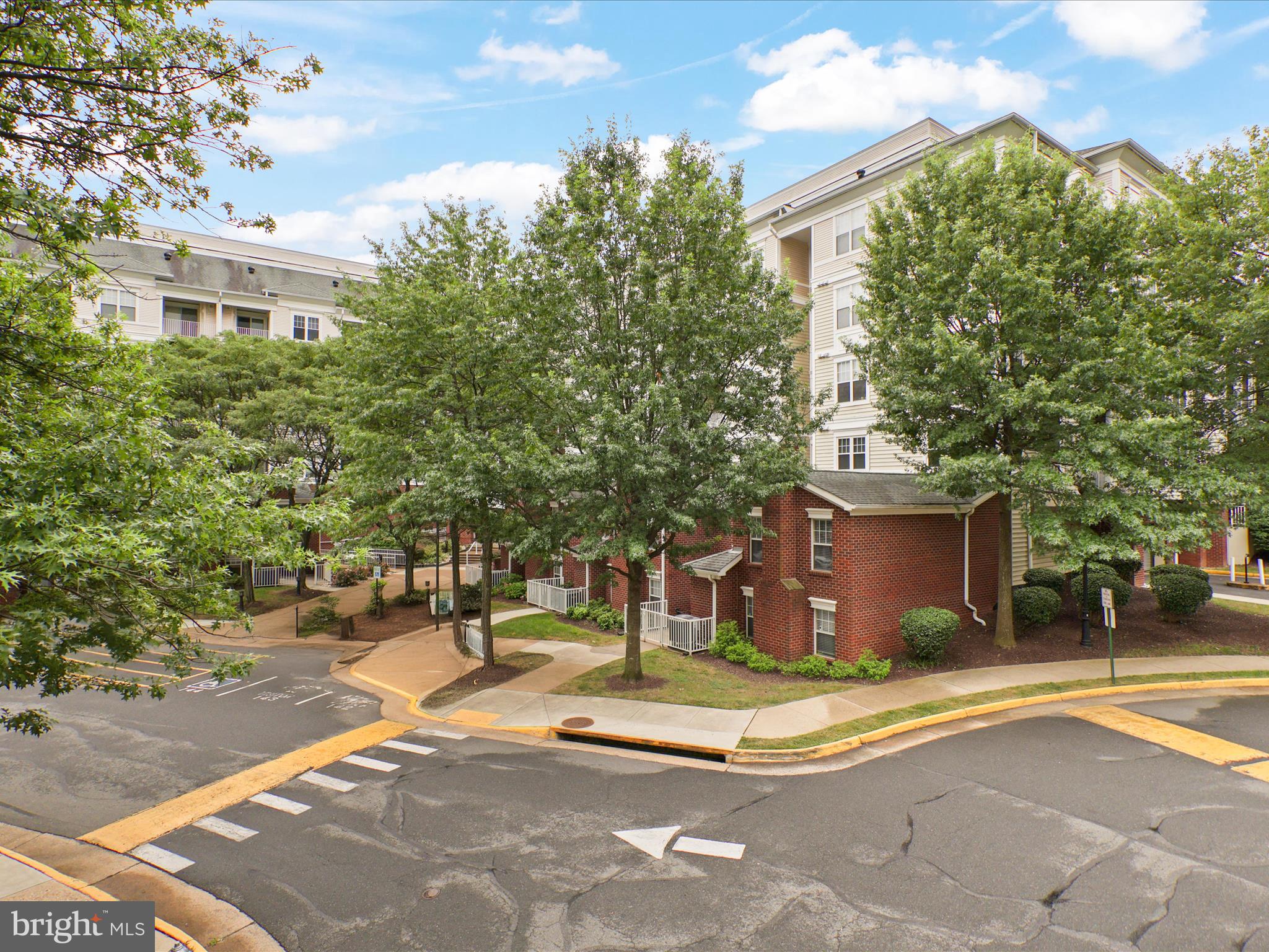 1645 INTERNATIONAL DRIVE 203