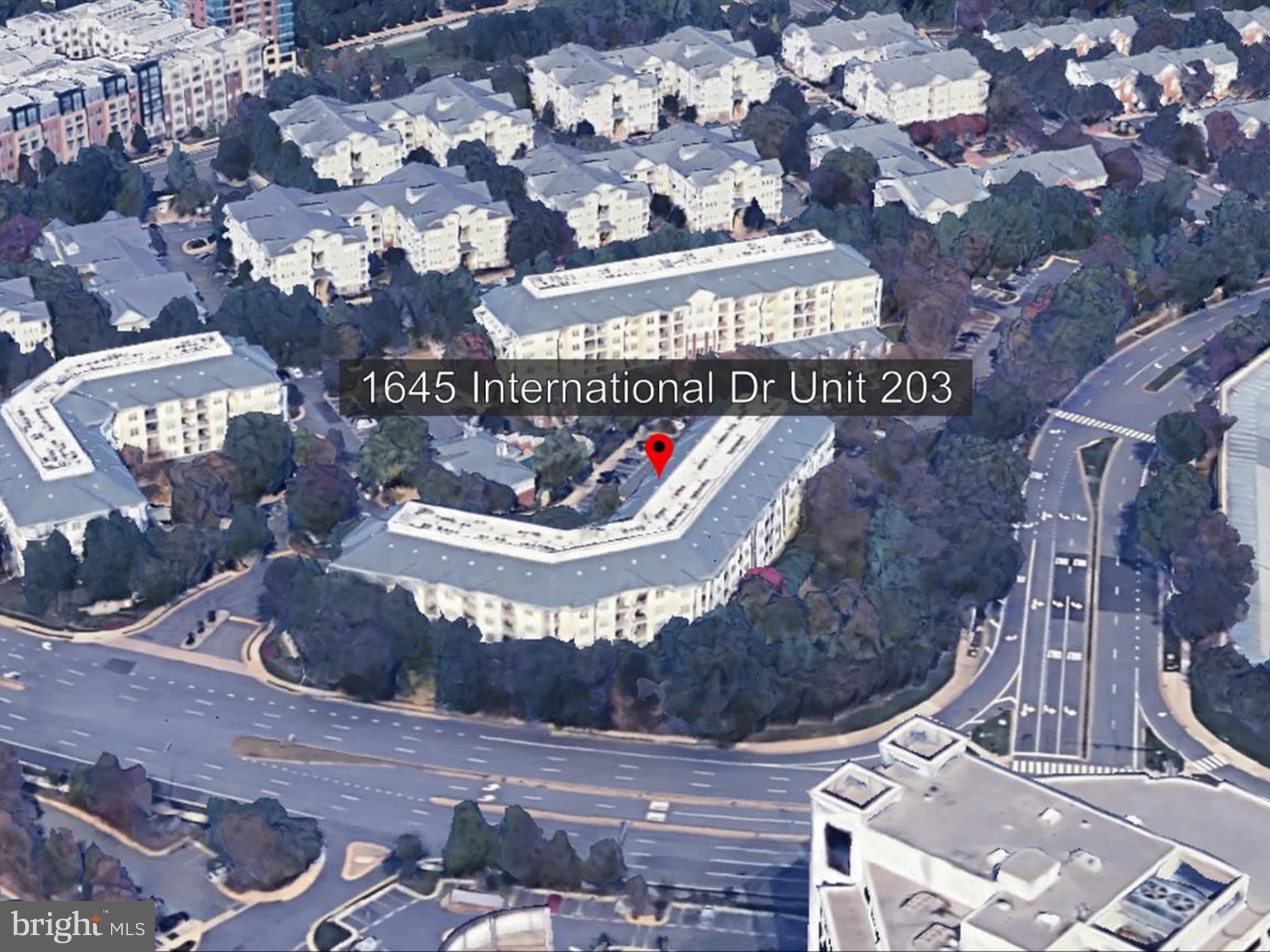 1645 INTERNATIONAL DRIVE 203