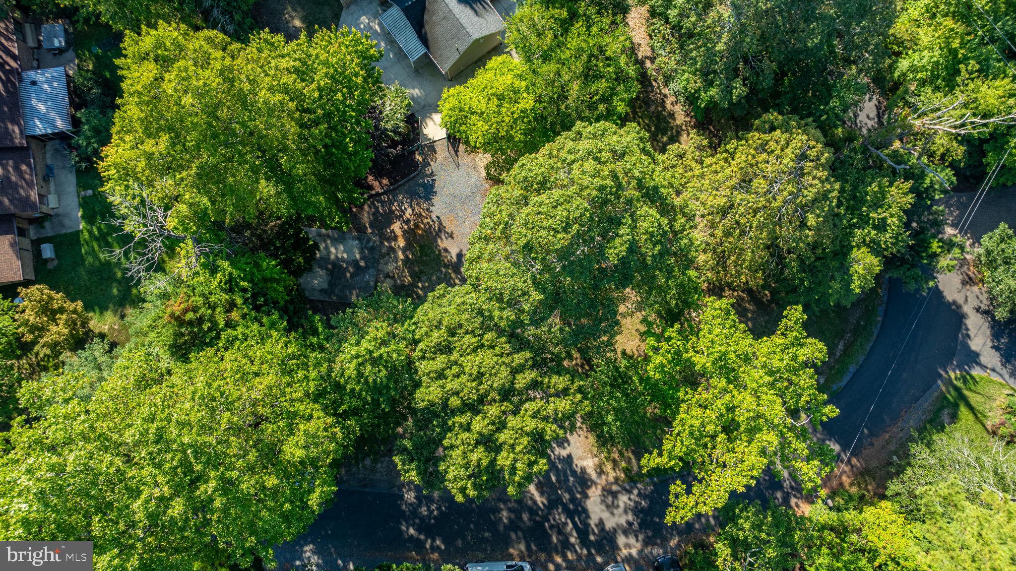 DRUM POINT - Residential