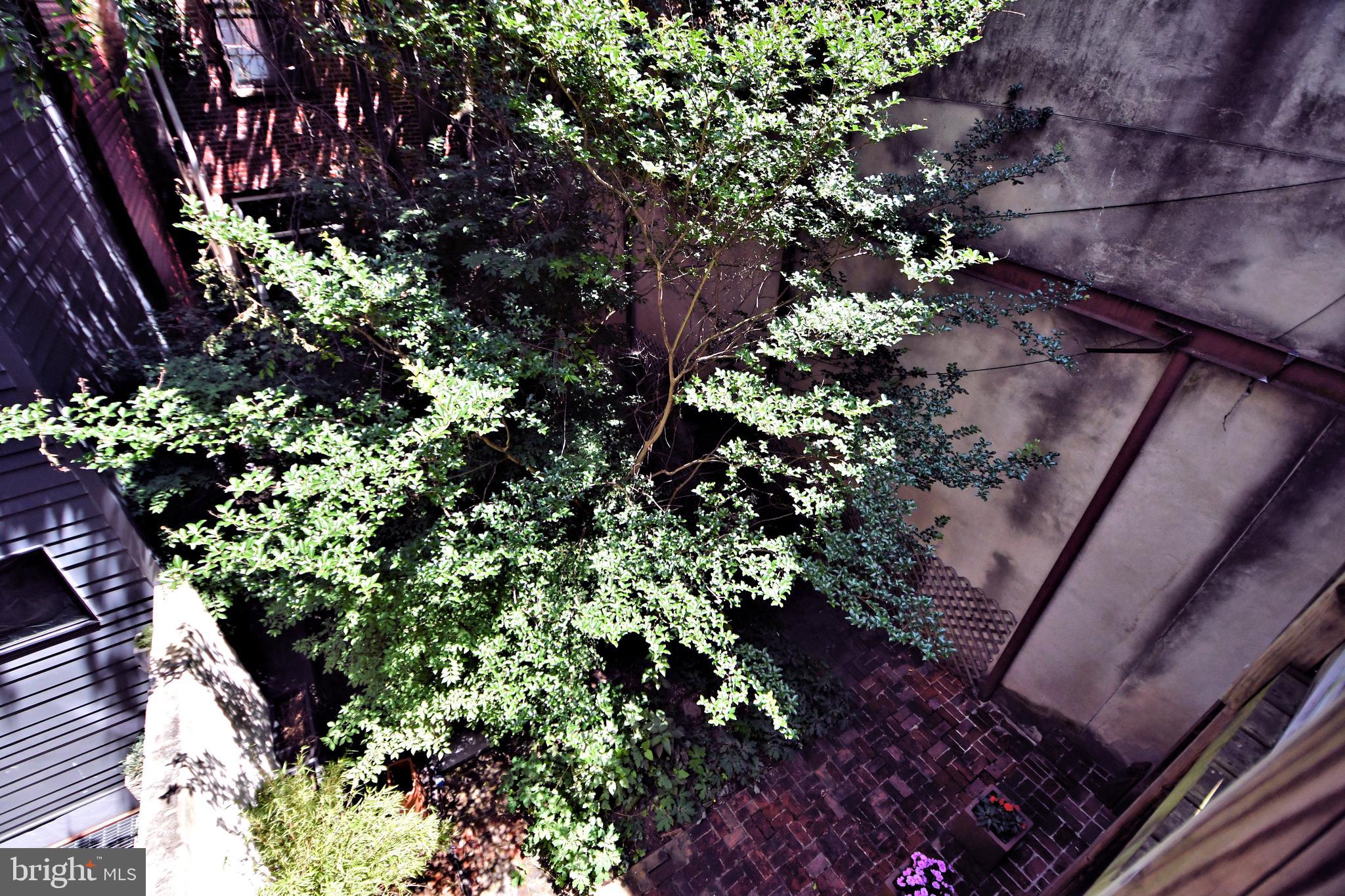 QUEEN VILLAGE - Residential