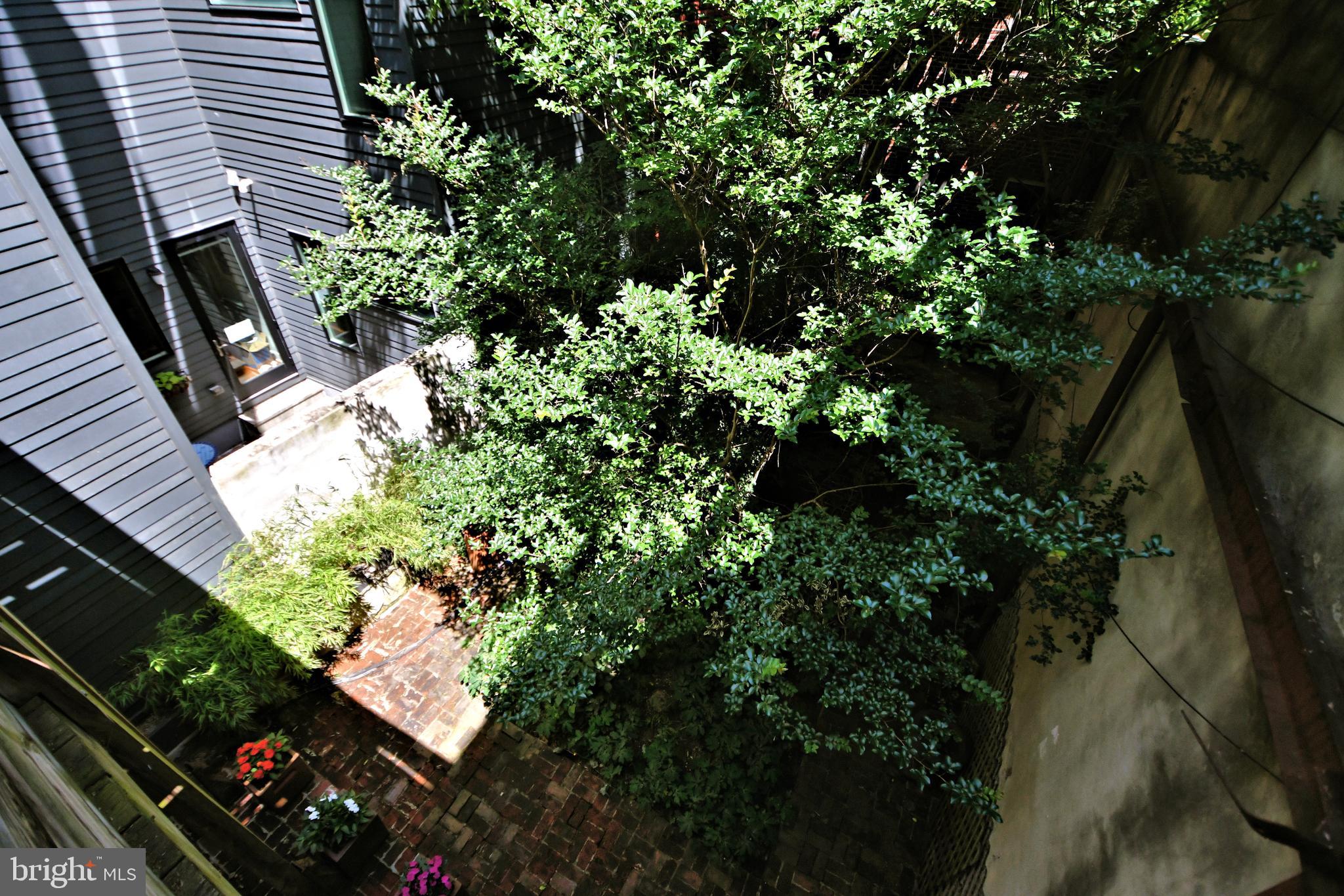 QUEEN VILLAGE - Residential