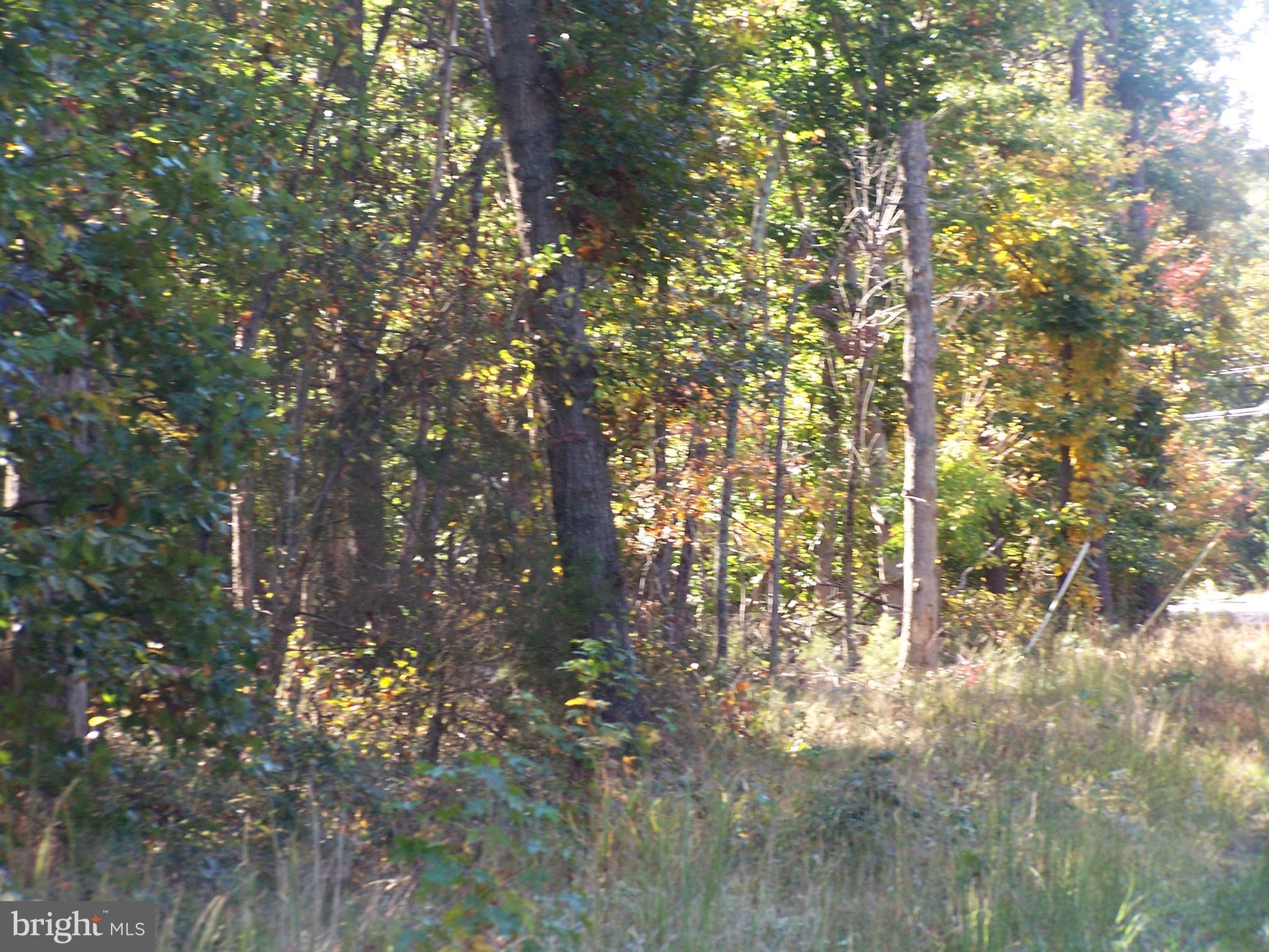 NONE AVAILABLE - Land