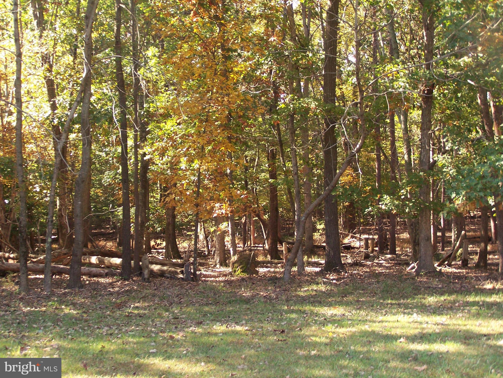 NONE AVAILABLE - Land