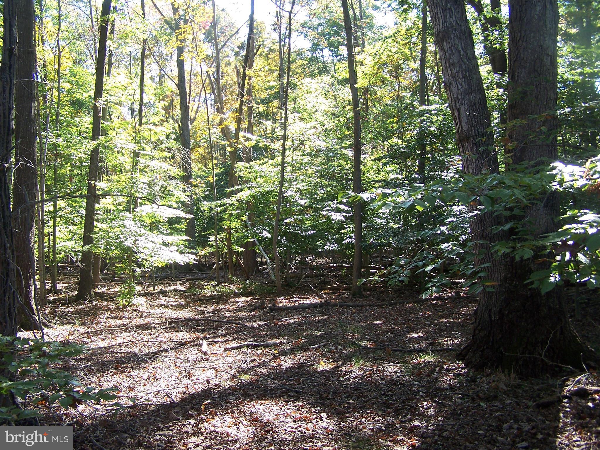 NONE AVAILABLE - Land