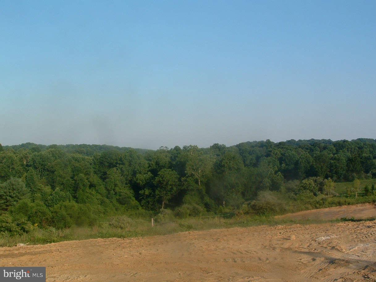 WALSH PROPERTY - Land