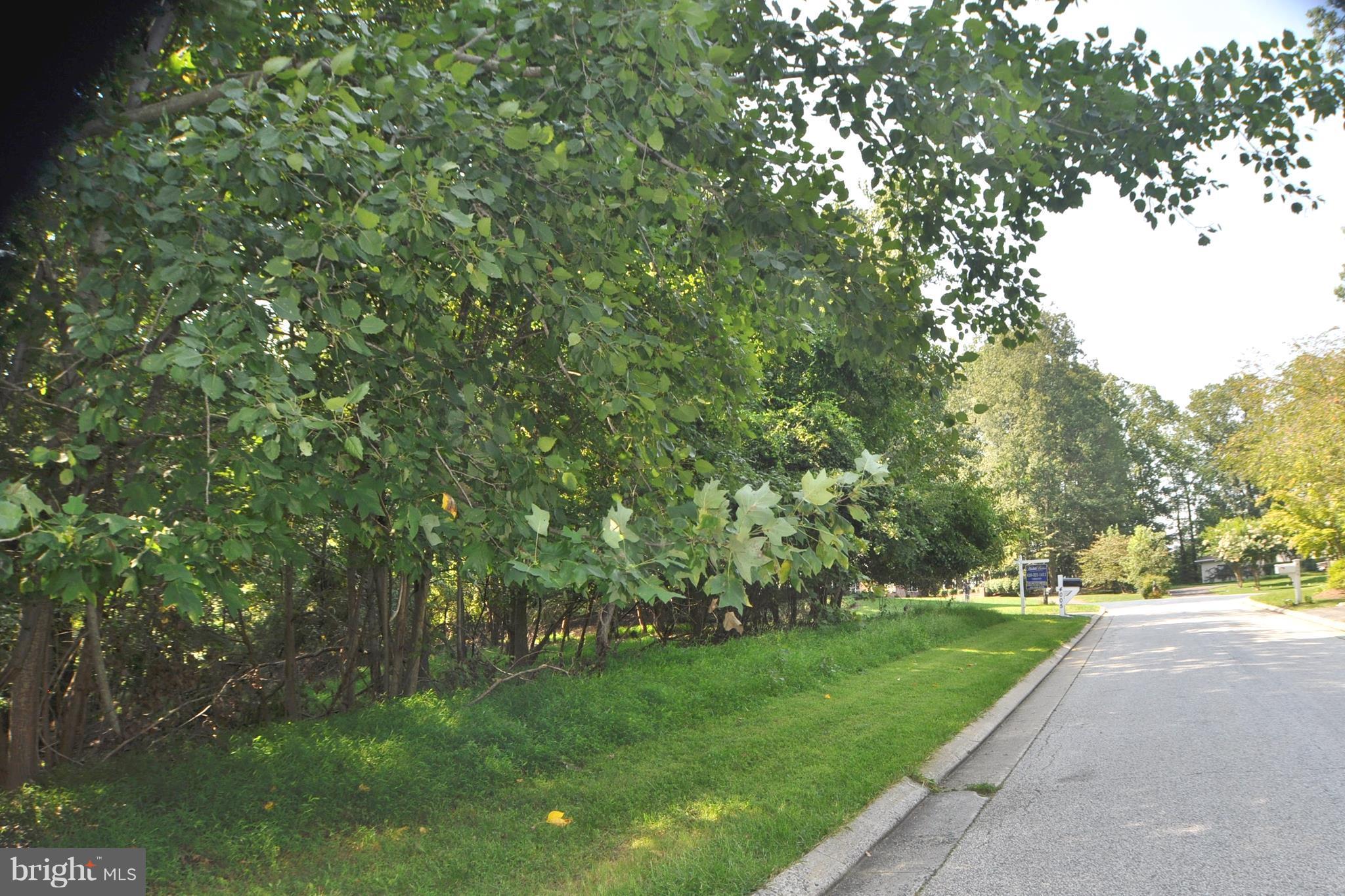 CLOVERLAND FARMS - Land