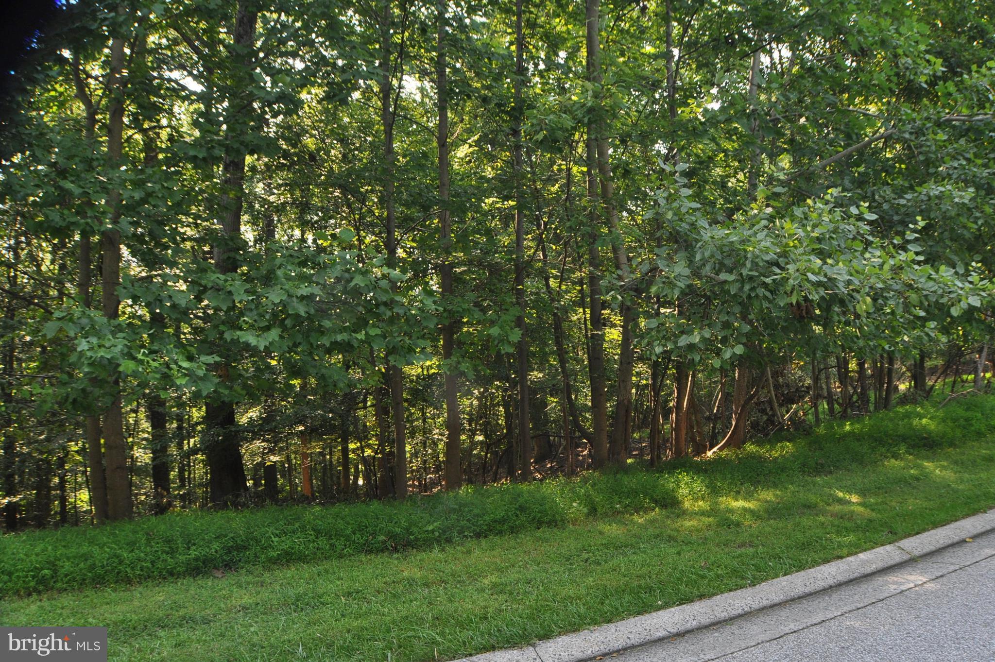 CLOVERLAND FARMS - Land