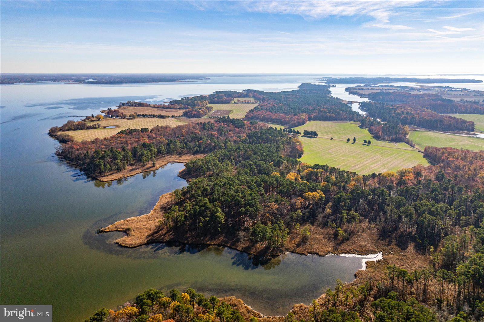 EASTERN NECK - Farm