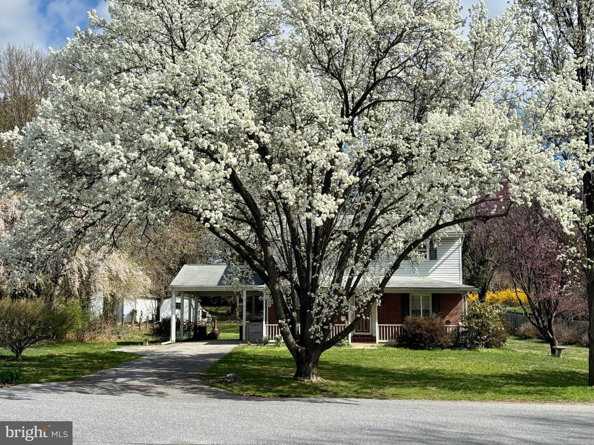CARROLL HIGHLANDS - Residential