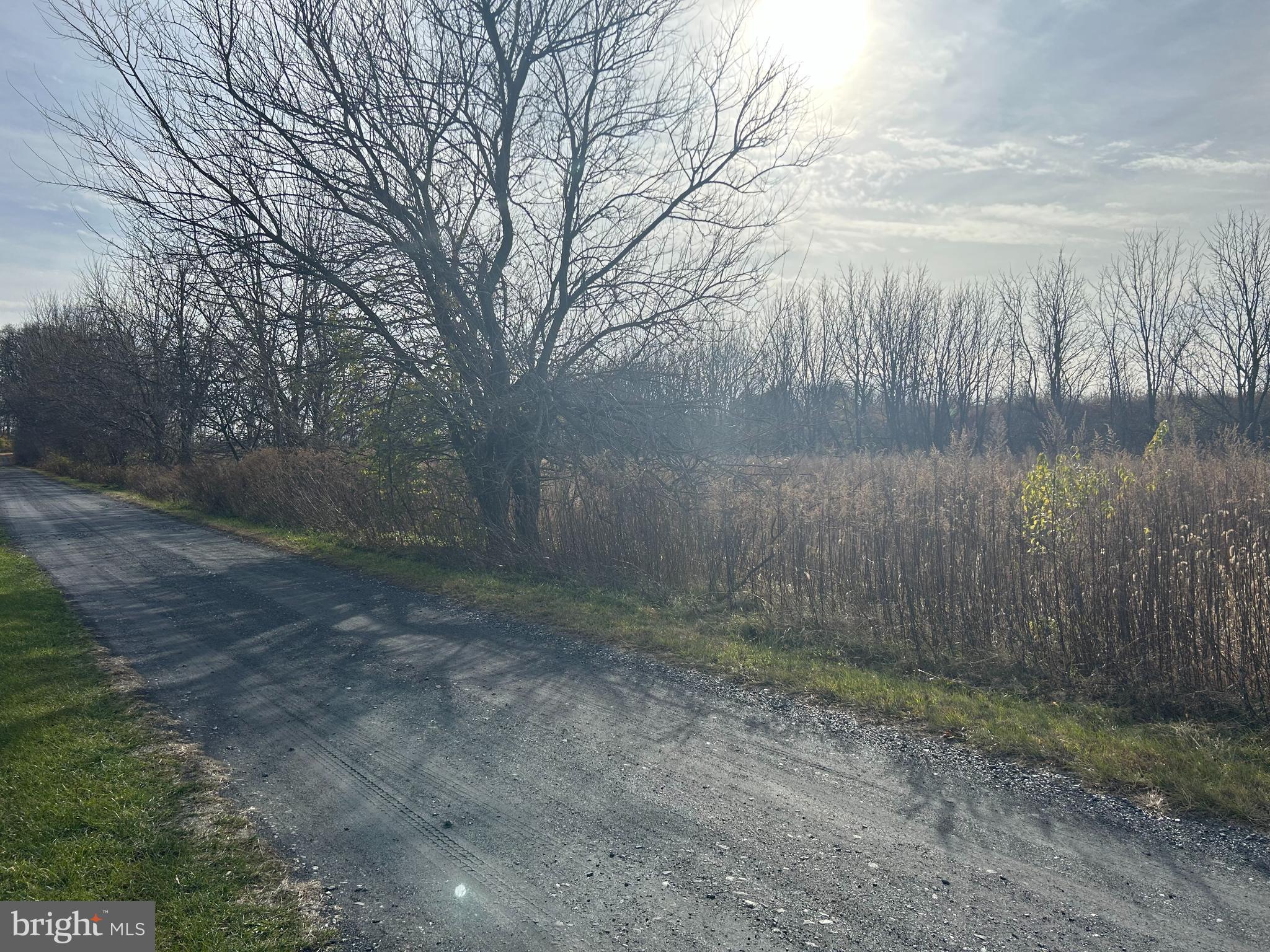 NONE  AVAILABLE - Residential