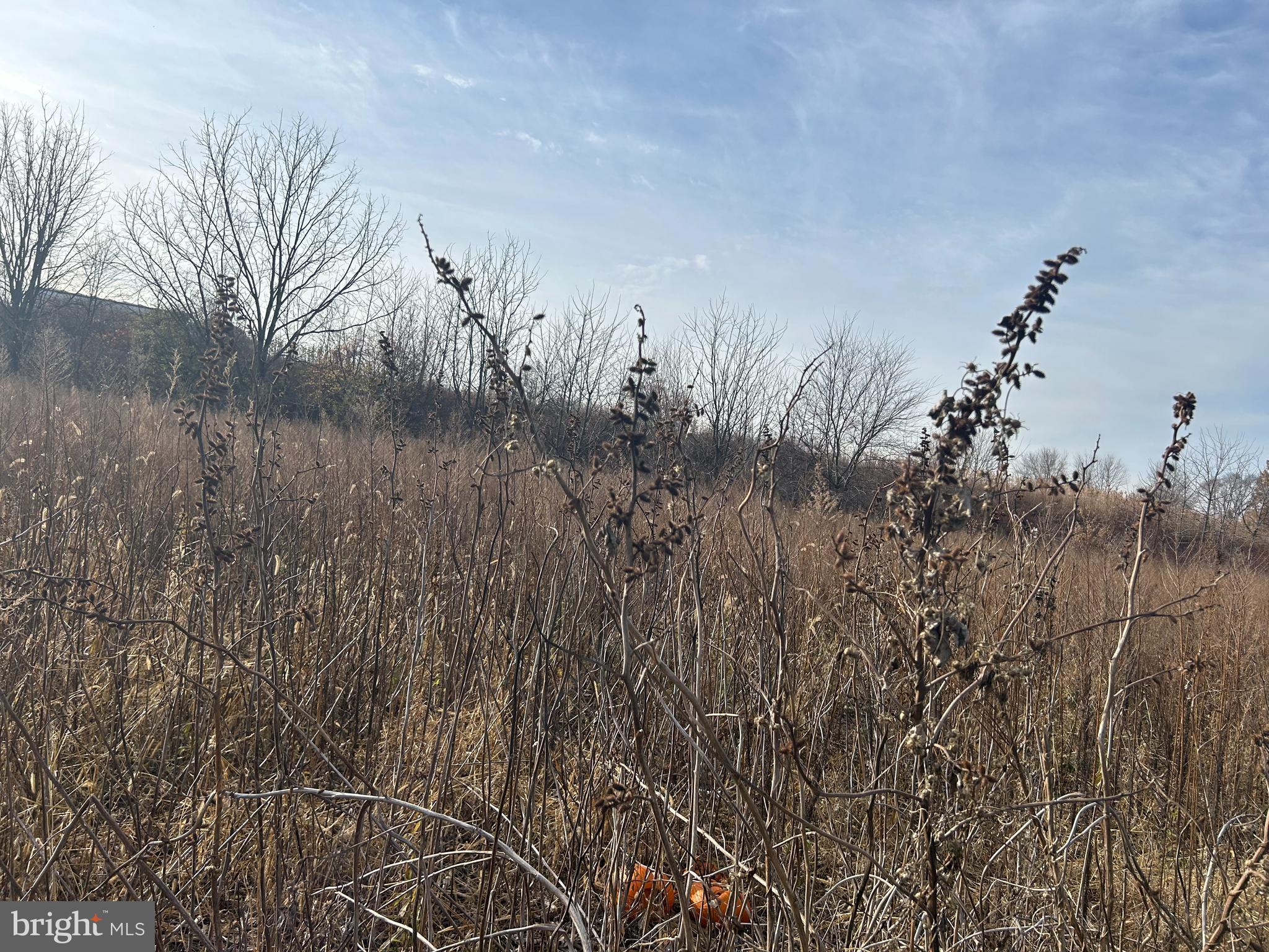 NONE  AVAILABLE - Residential