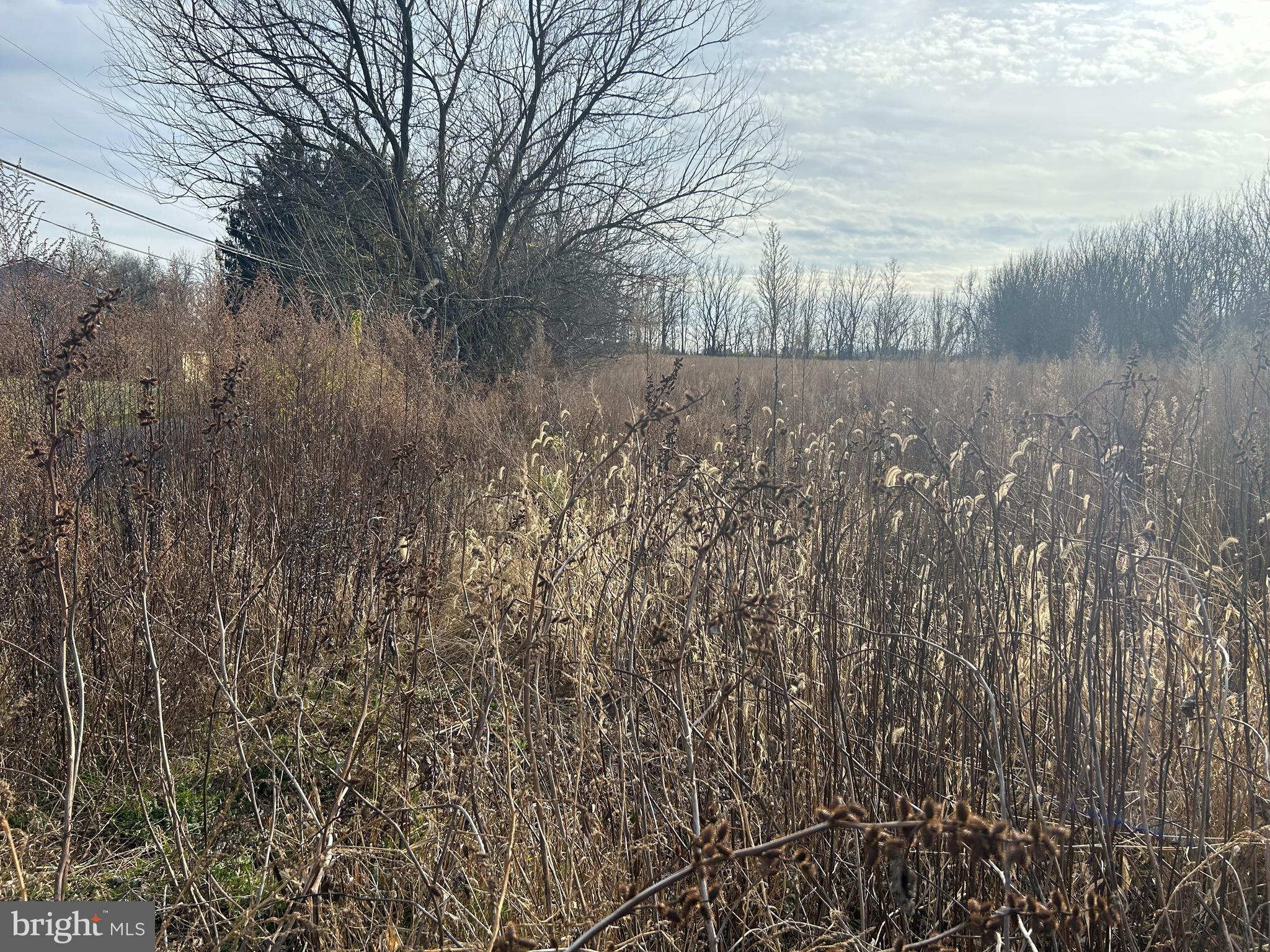 NONE  AVAILABLE - Residential