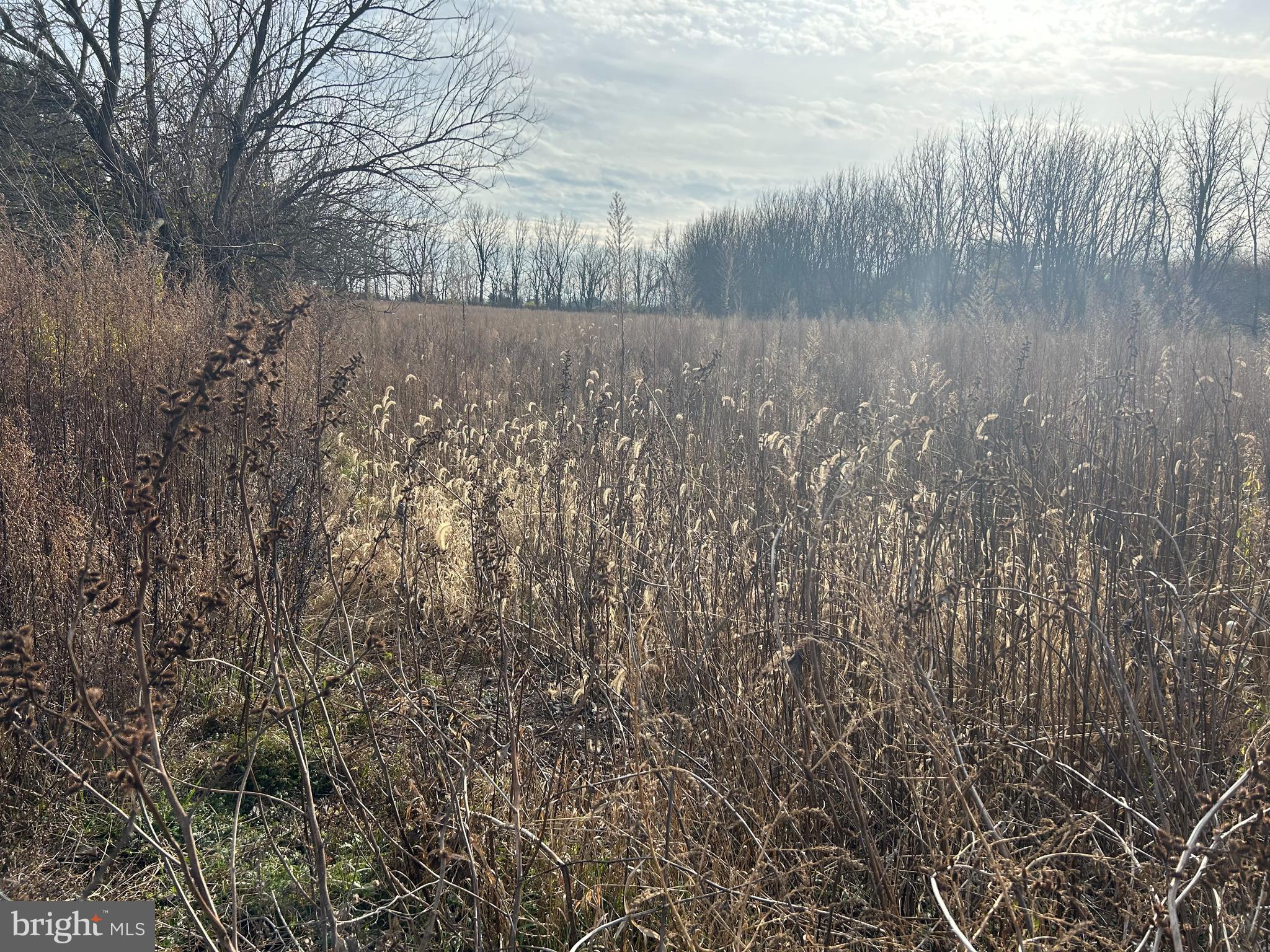 NONE  AVAILABLE - Residential