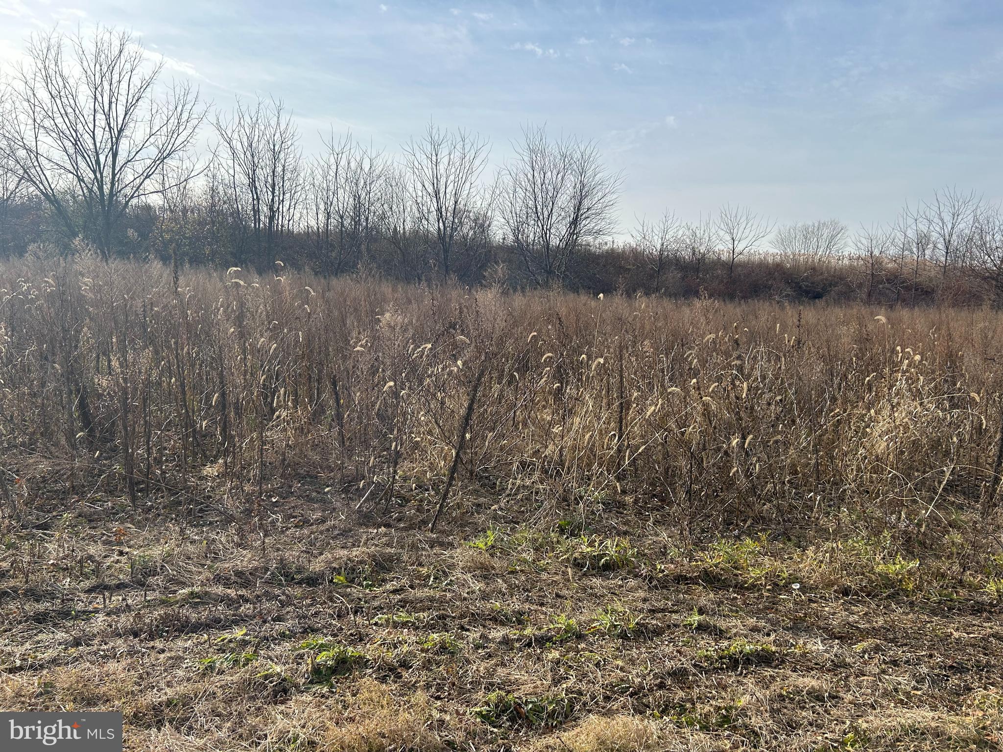 NONE  AVAILABLE - Residential