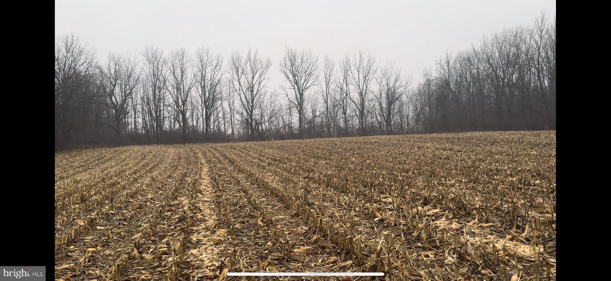 NONE  AVAILABLE - Residential