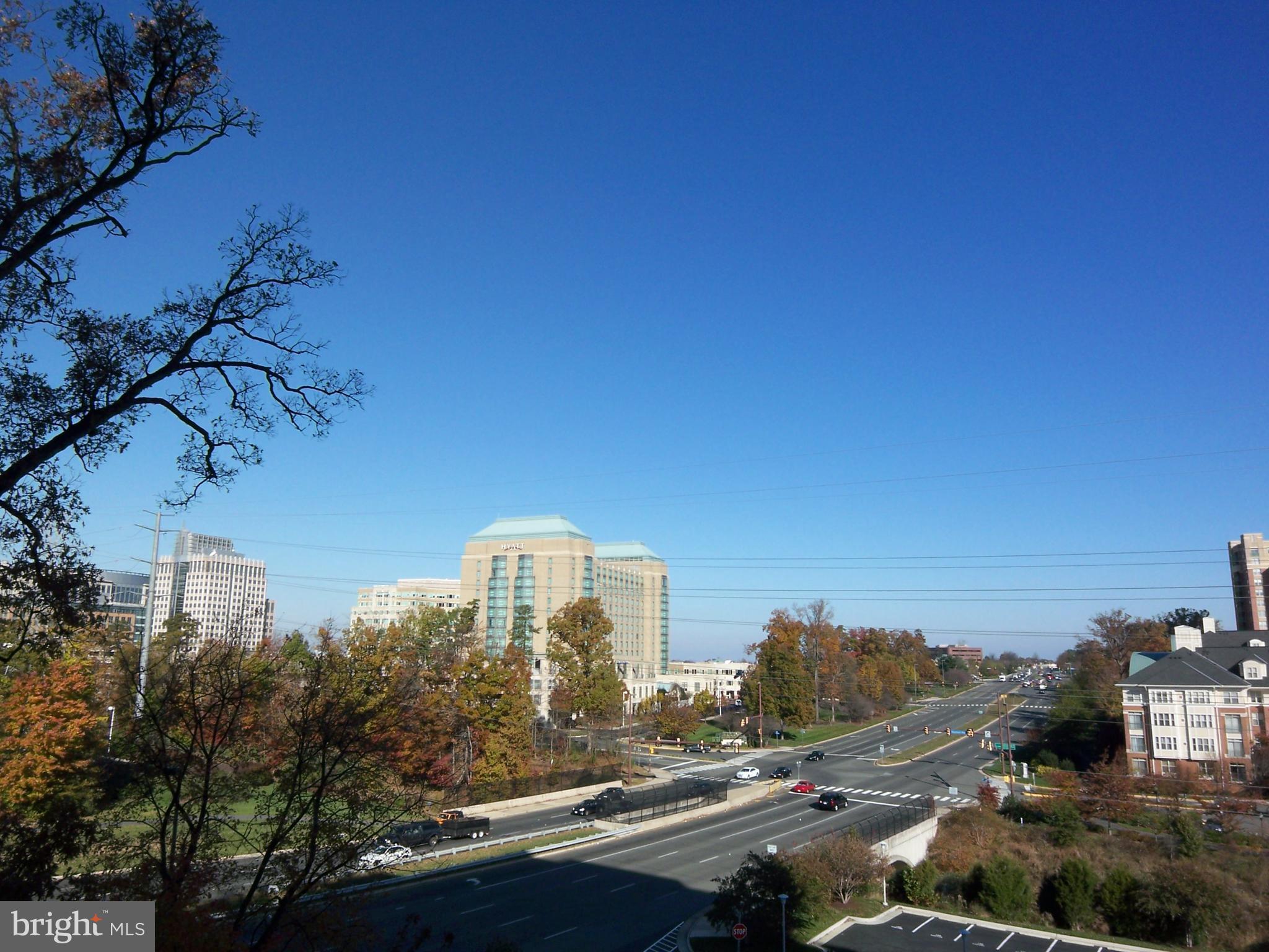 CARLTON HOUSE - Residential Lease