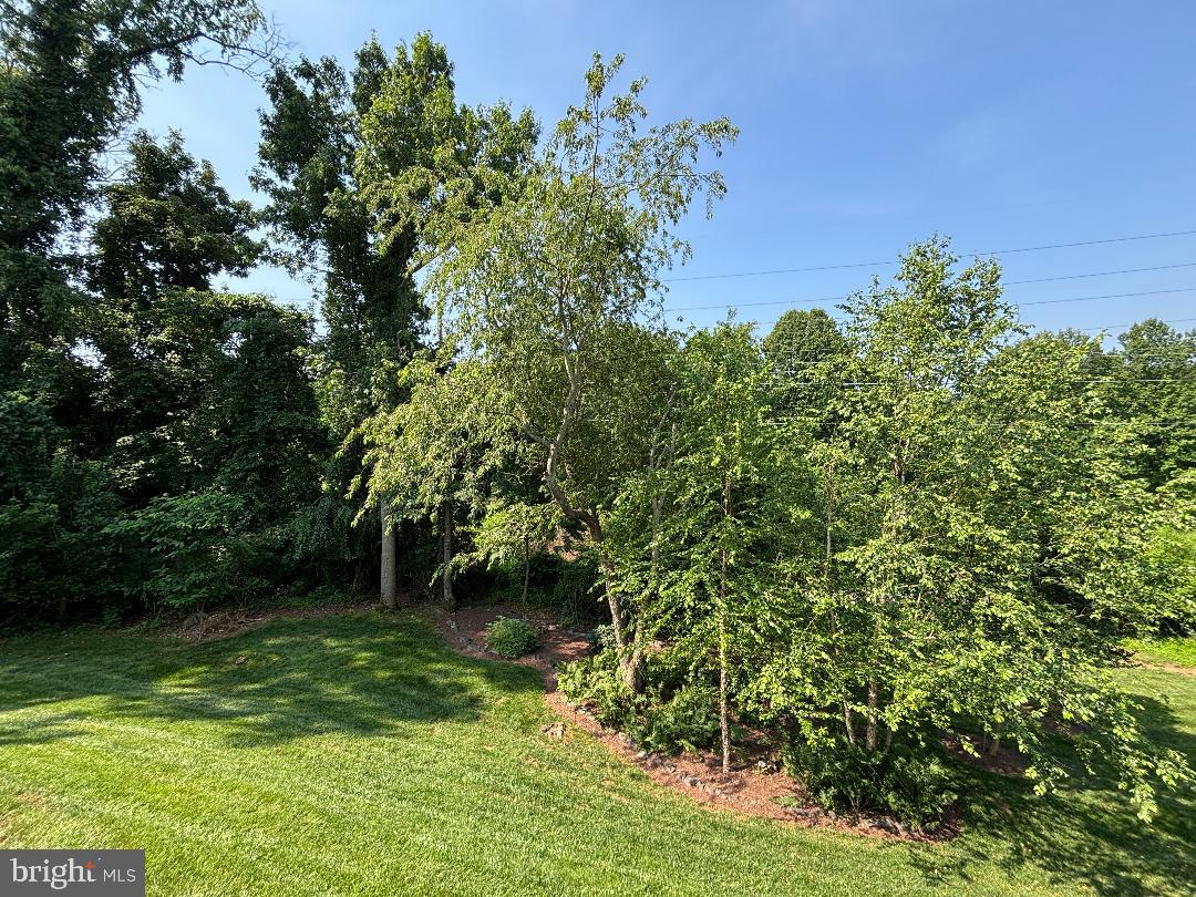 TIBURON - Residential Lease