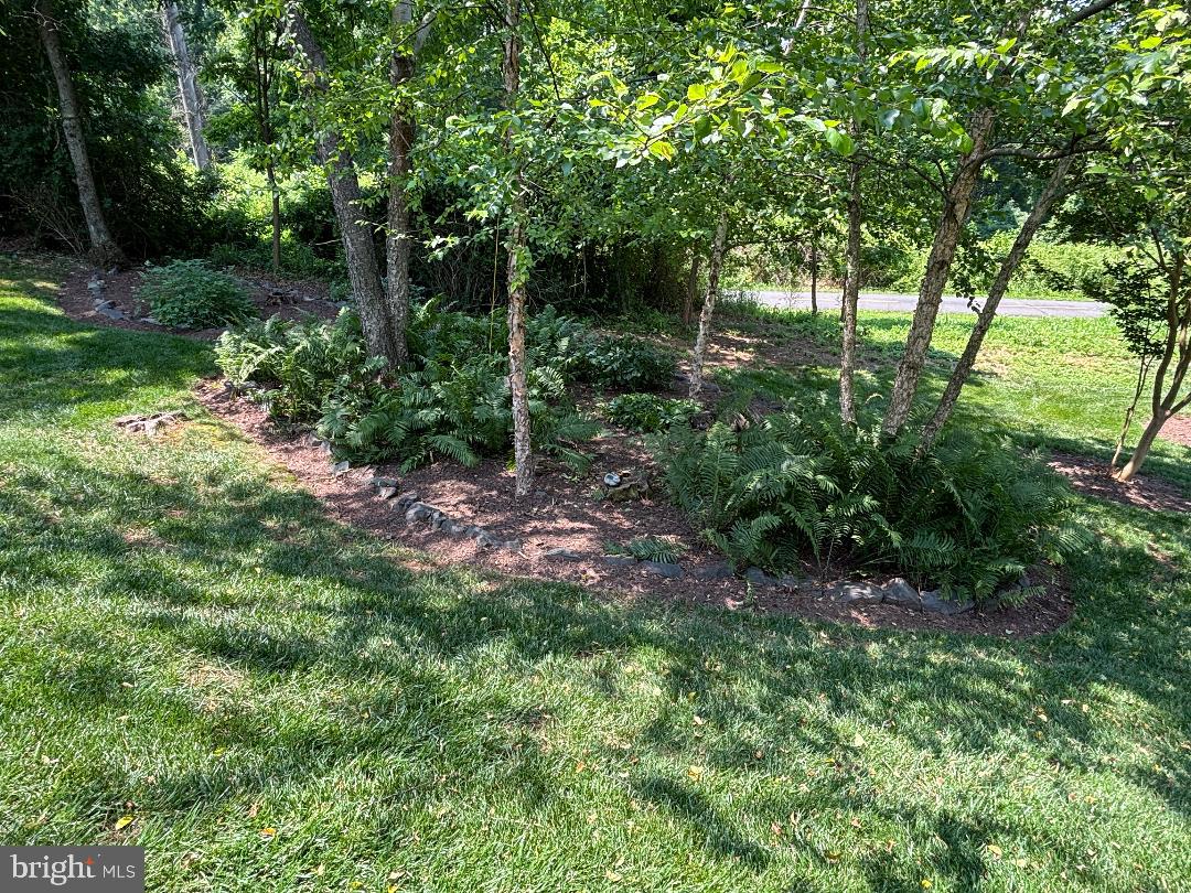 TIBURON - Residential Lease