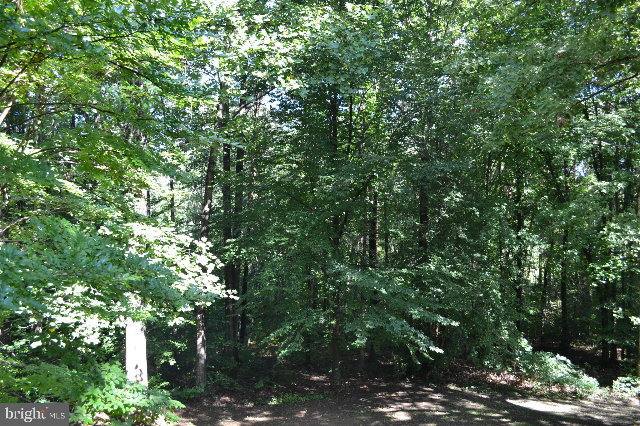 ROSE HILL FARMS - Residential Lease