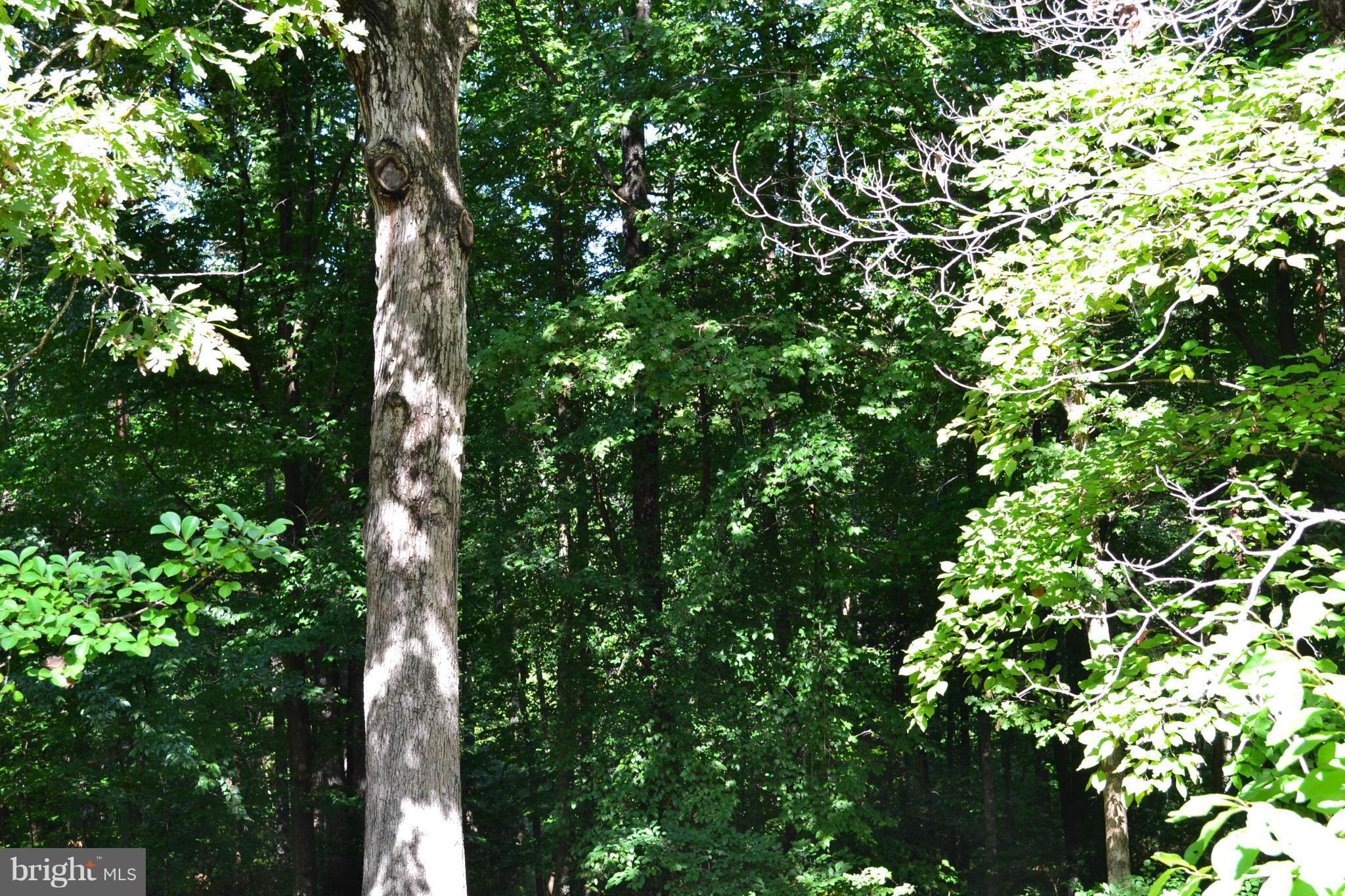 ROSE HILL FARMS - Residential Lease