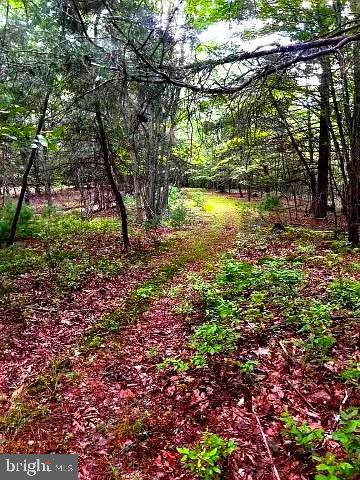 Call now to see this 21 acres of rolling and wooded land .If you want to own a piece of heaven you have found it!! Great lot in gated community. Located at the end of the subdivision will ensure your privacy and safety. There is a wet weather stream and lots of wildlife living here and you can see deer, turkey, squirrels, groundhogs, and sometimes a bear, so hunting is a good in this area. Electric has also been run to the lot. There is a 40ft utility easement at the back of the property so in exchange owners get the first 12k KW of electricity free per year. There are very few homes existing in the 10 lots neighborhood. Move to West Virginia and become a Mountaineer.