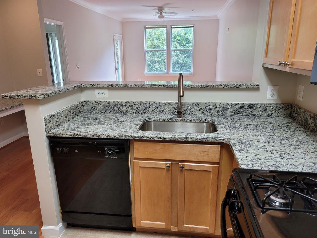 SAVOY AT RESTON TOWN CENTER - Residential