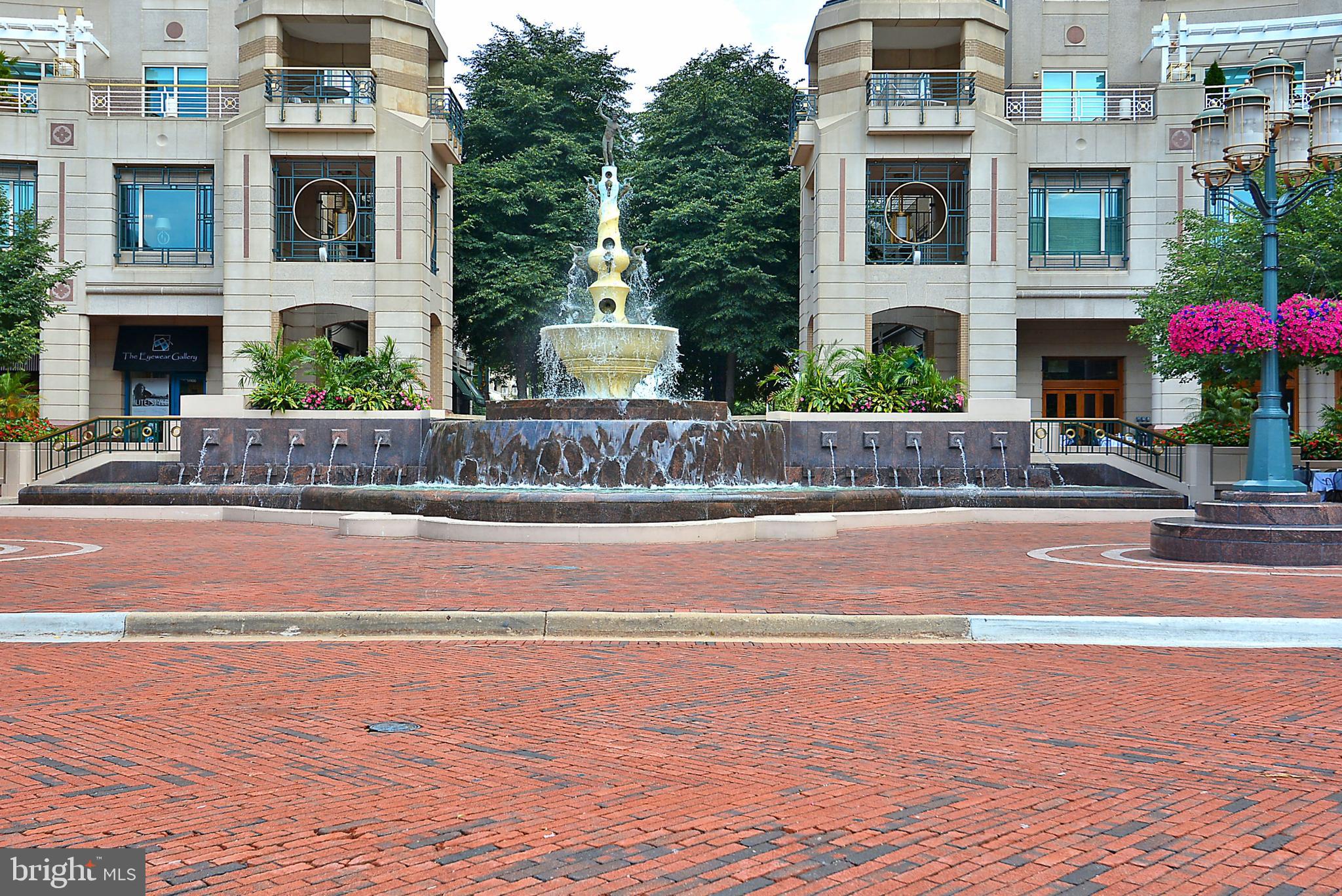 SAVOY AT RESTON TOWN CENTER - Residential