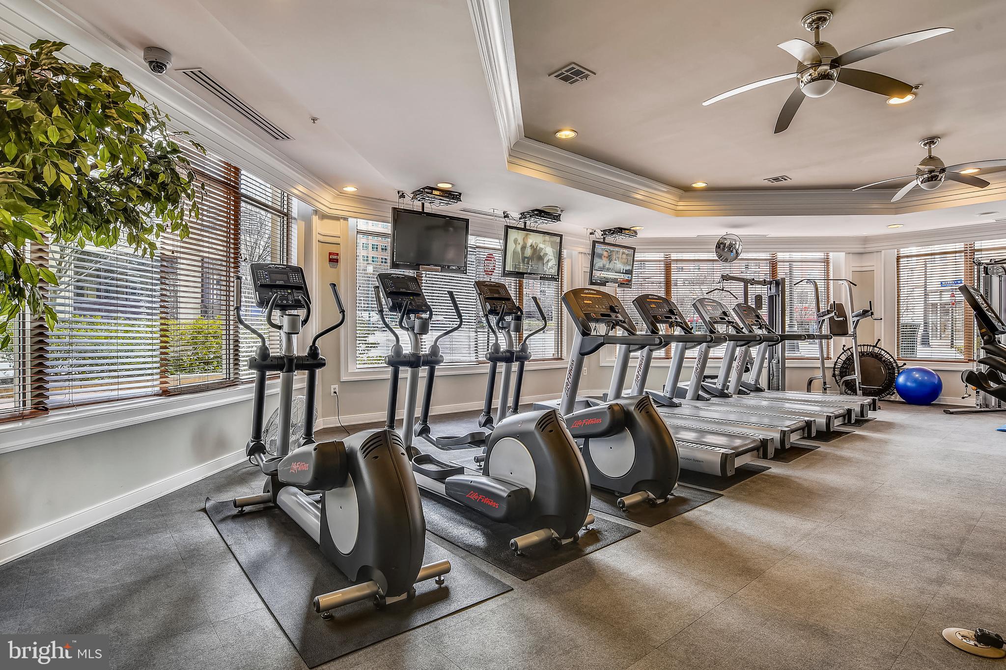 SAVOY AT RESTON TOWN CENTER - Residential