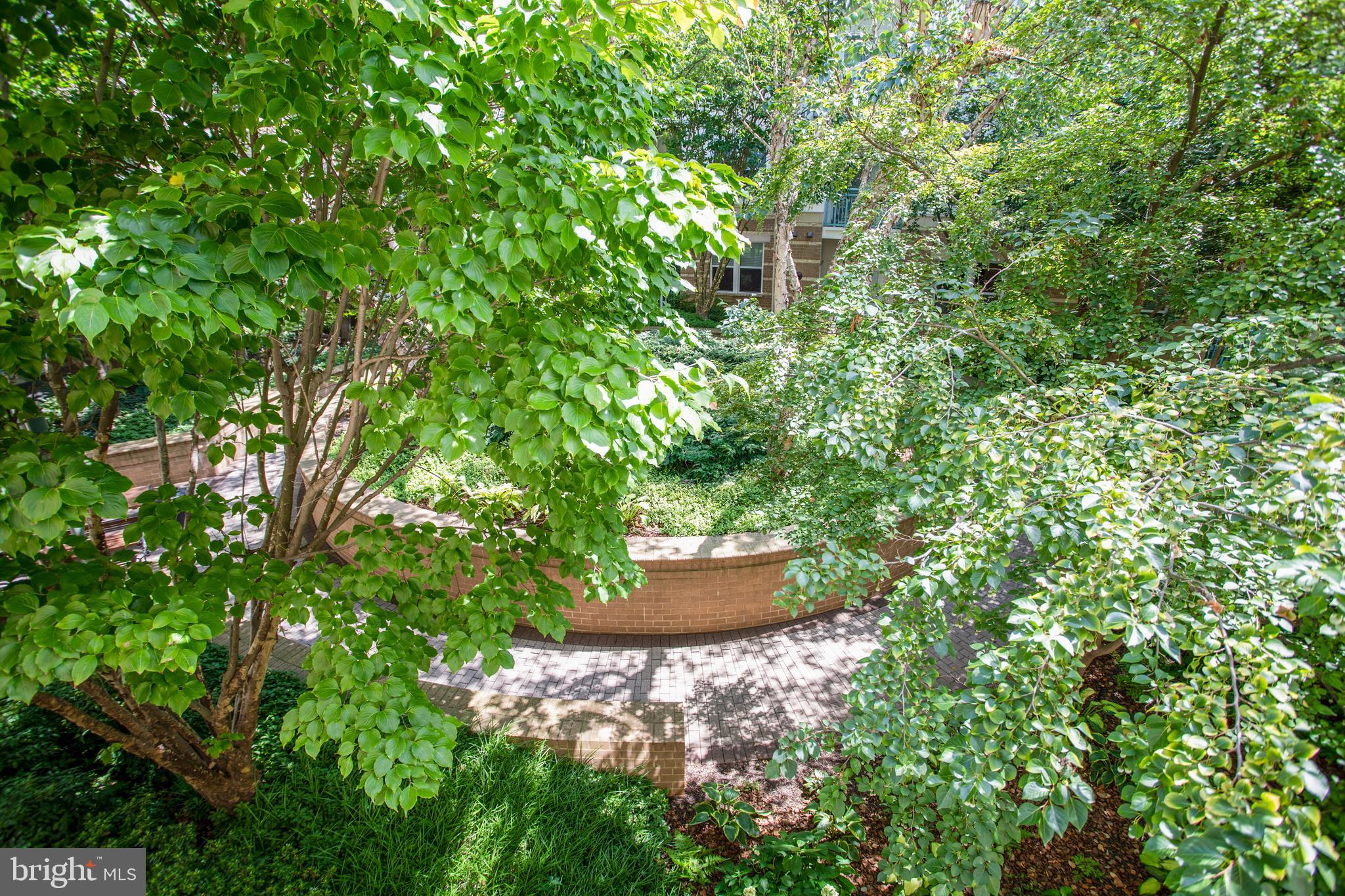 SAVOY AT RESTON TOWN CENTER - Residential