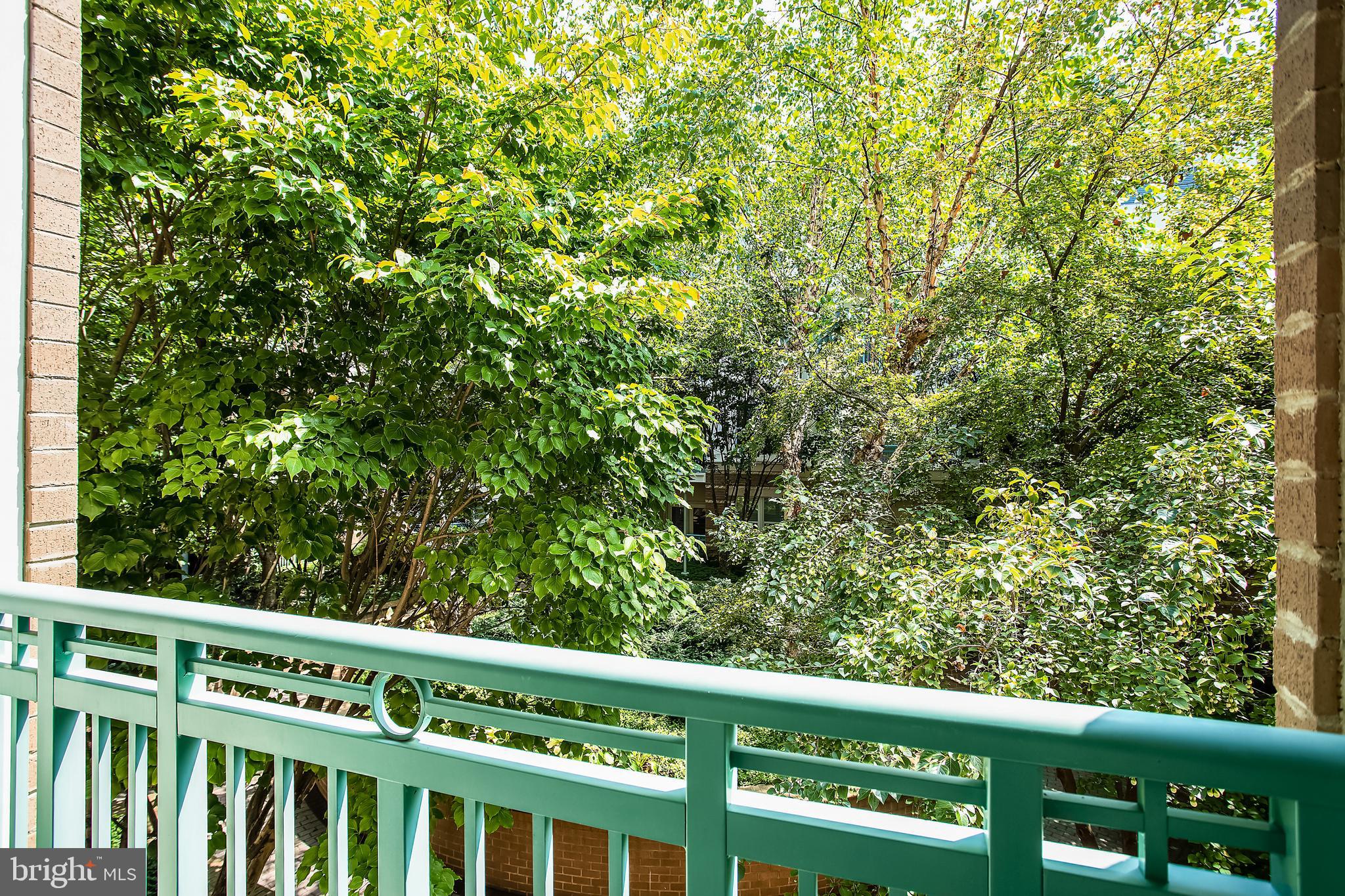 SAVOY AT RESTON TOWN CENTER - Residential