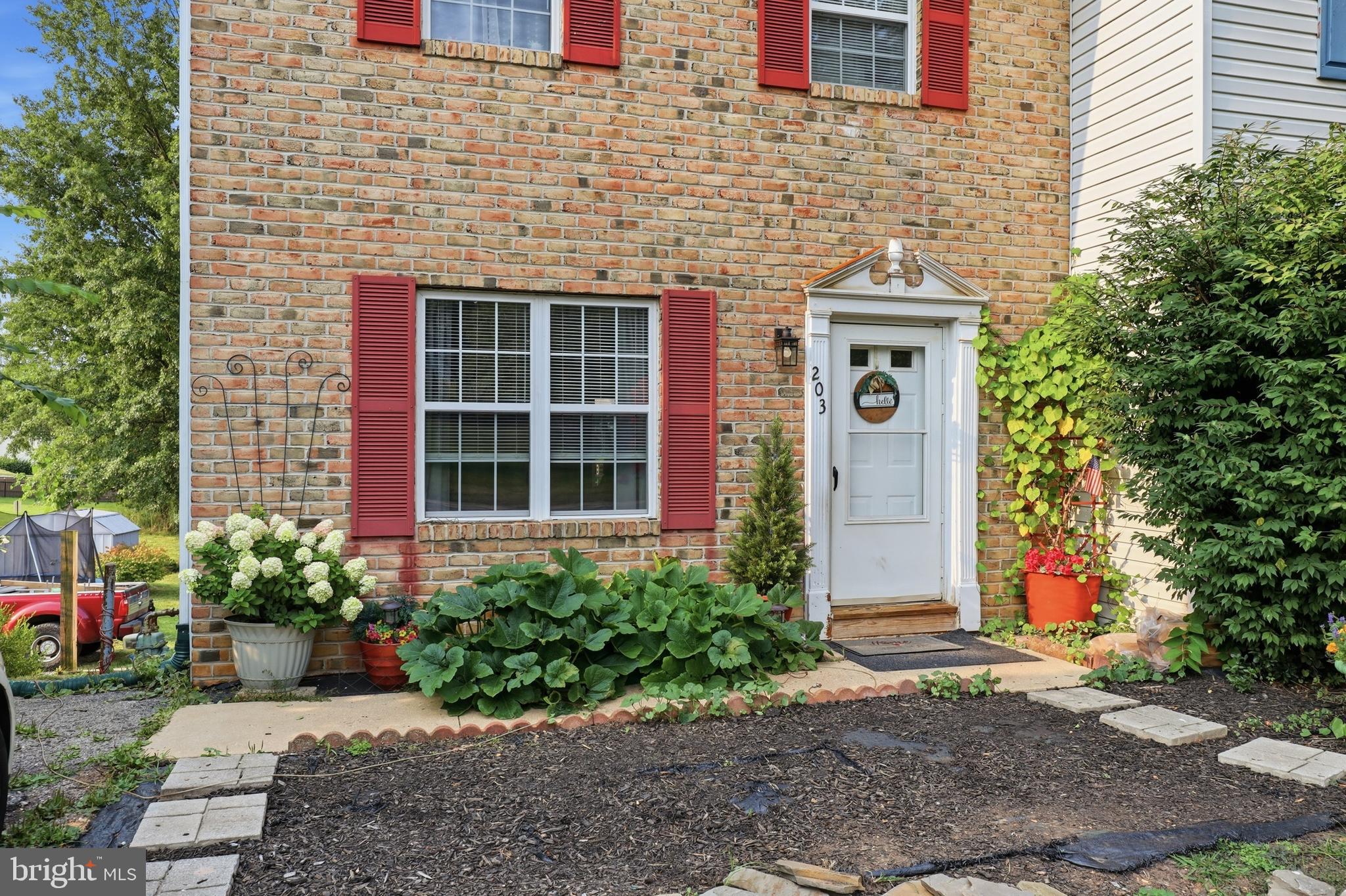 203 CHERRY STREET