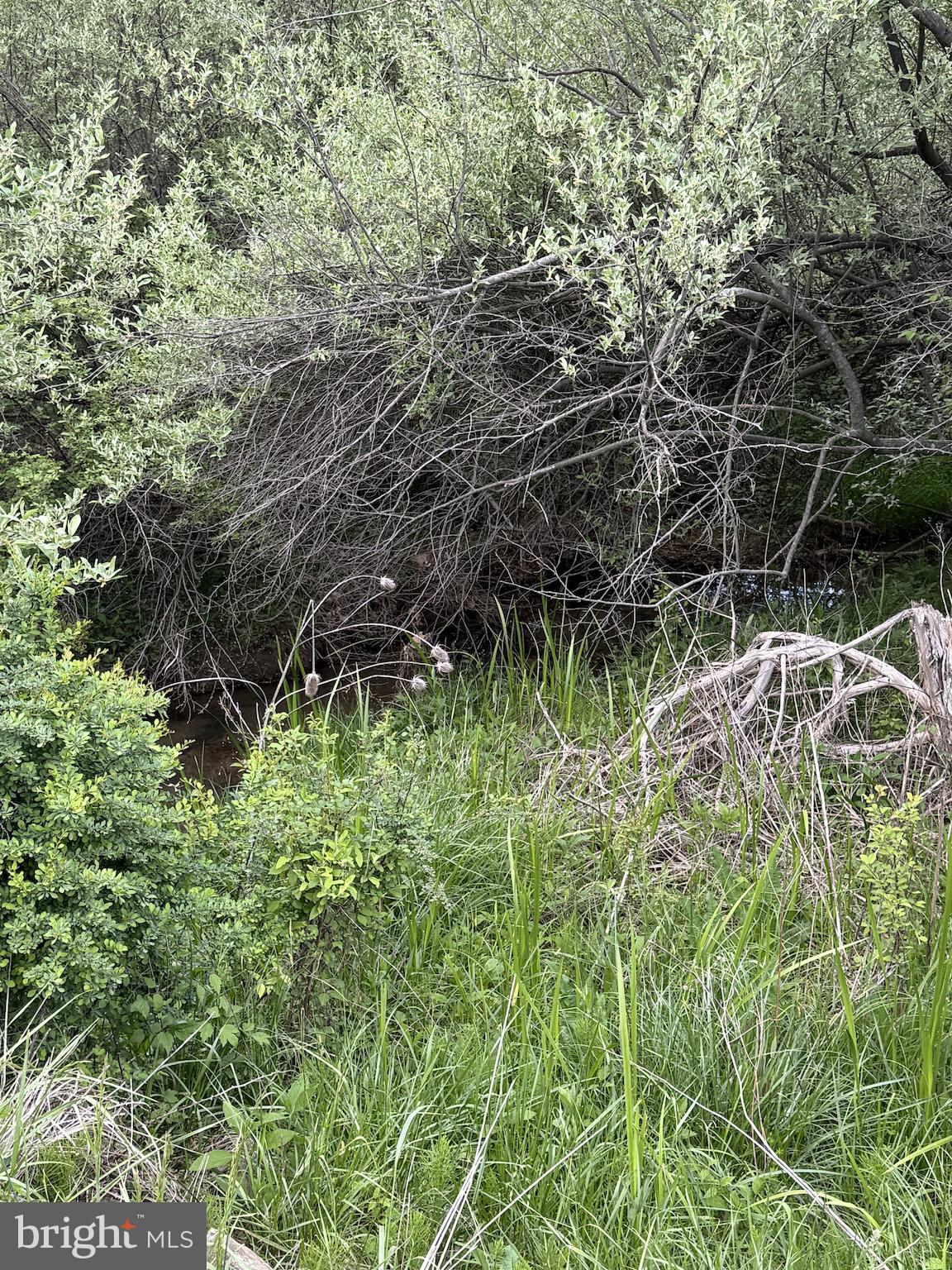 TROUT POND PROPERTY OWNERS ASSOCIATION - Residential