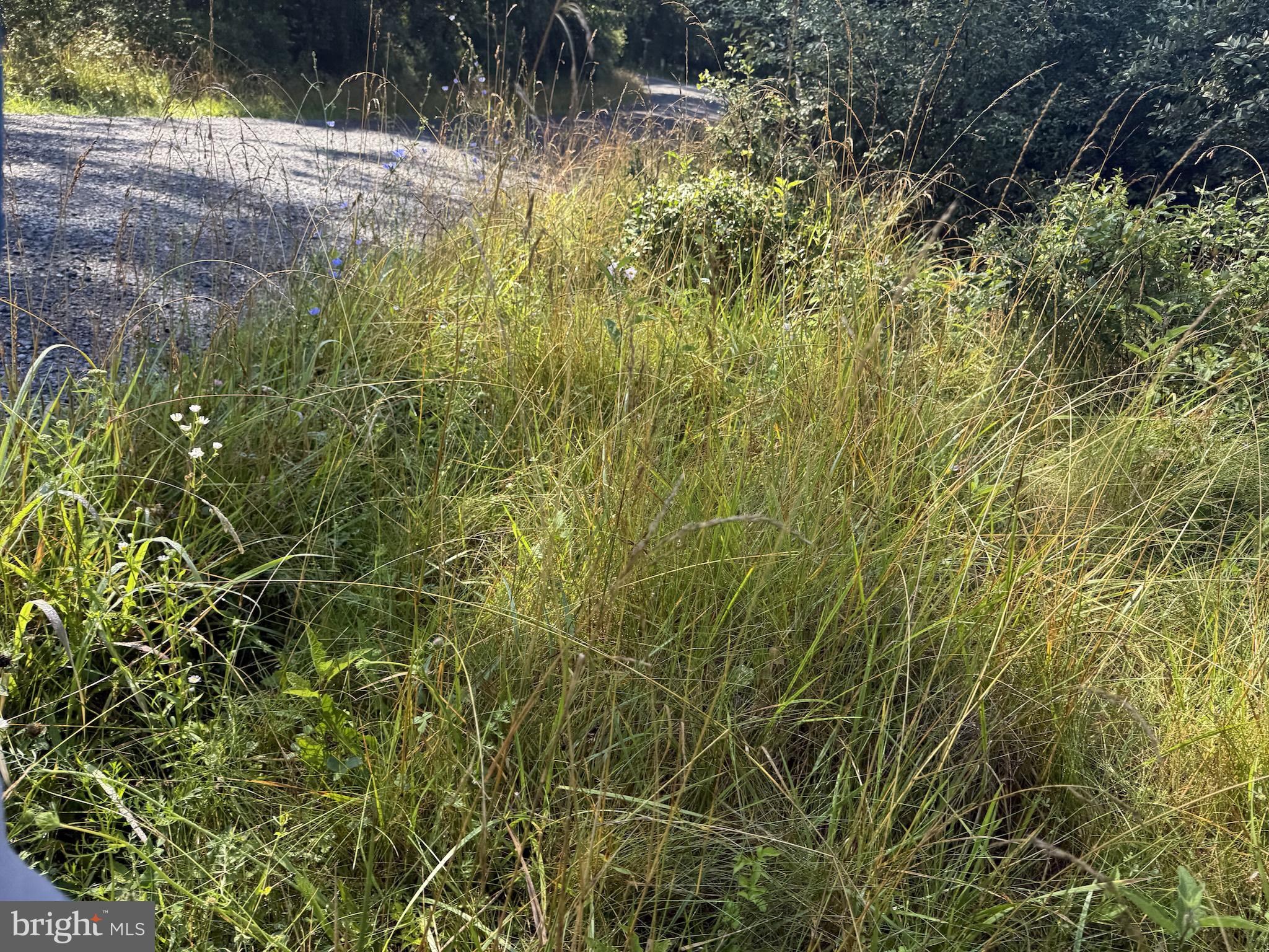 TROUT POND PROPERTY OWNERS ASSOCIATION - Residential