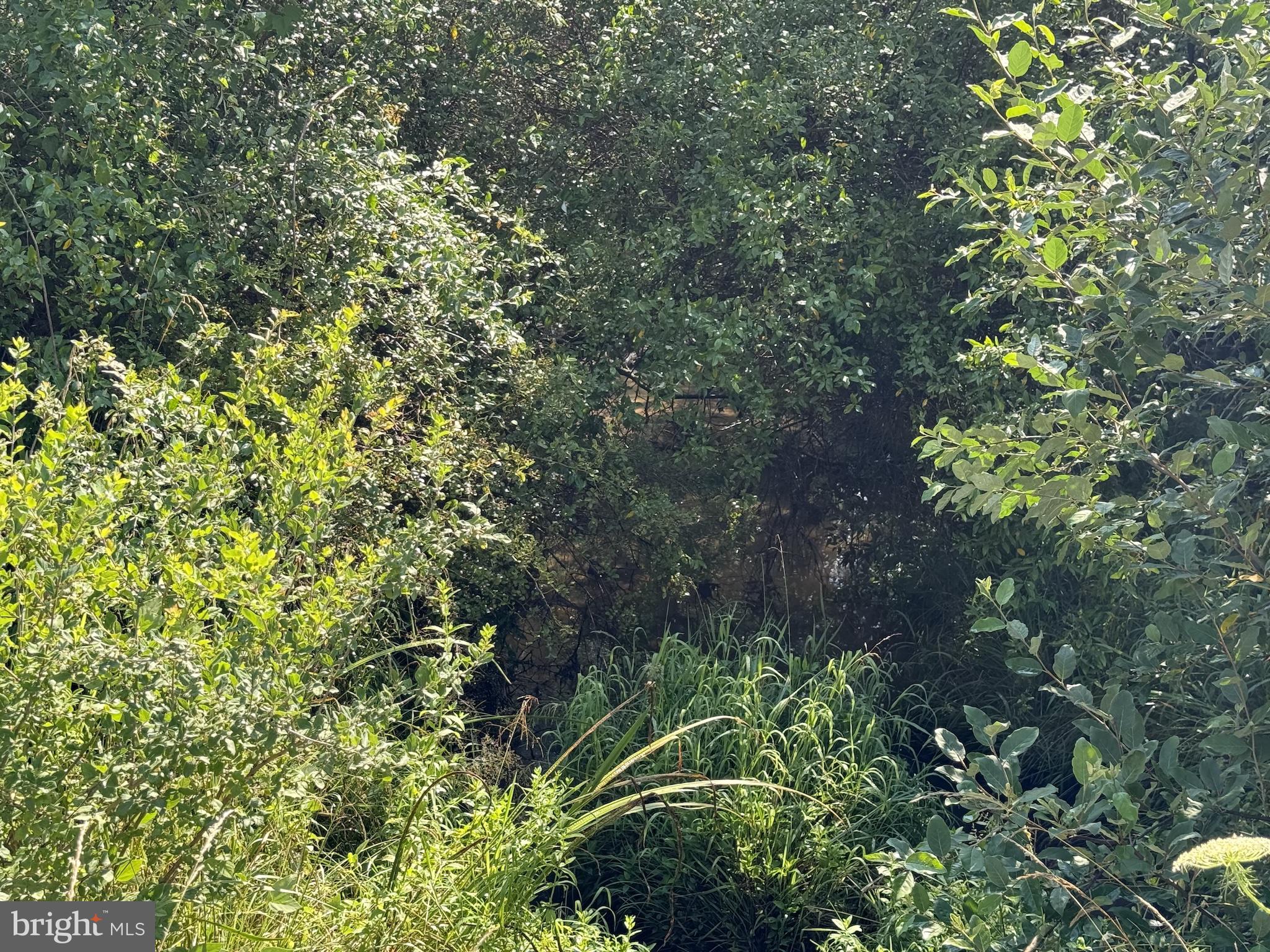 TROUT POND PROPERTY OWNERS ASSOCIATION - Residential