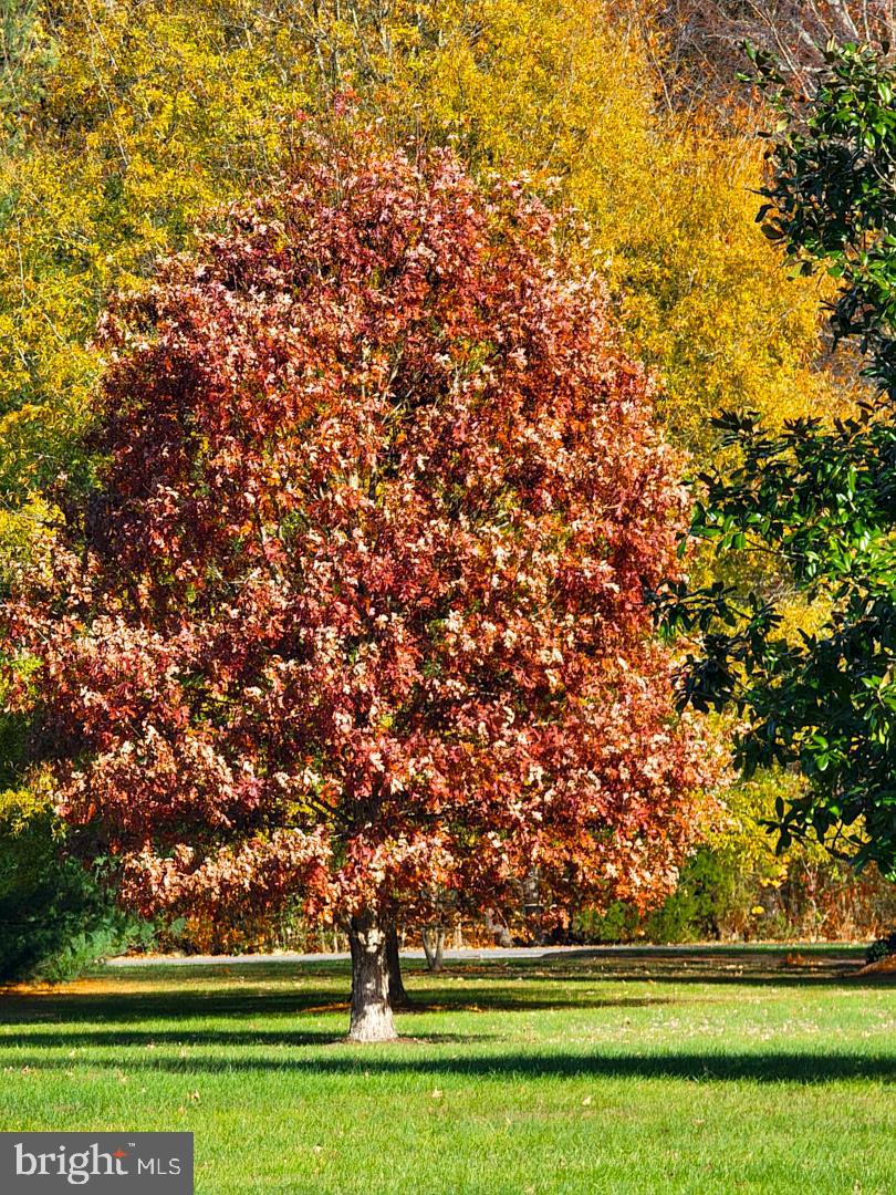 EASTON - Residential