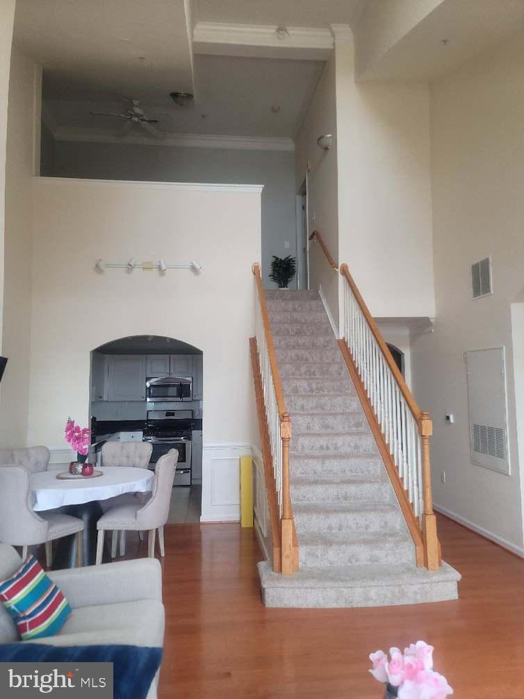 31 BOOTH STREET 453